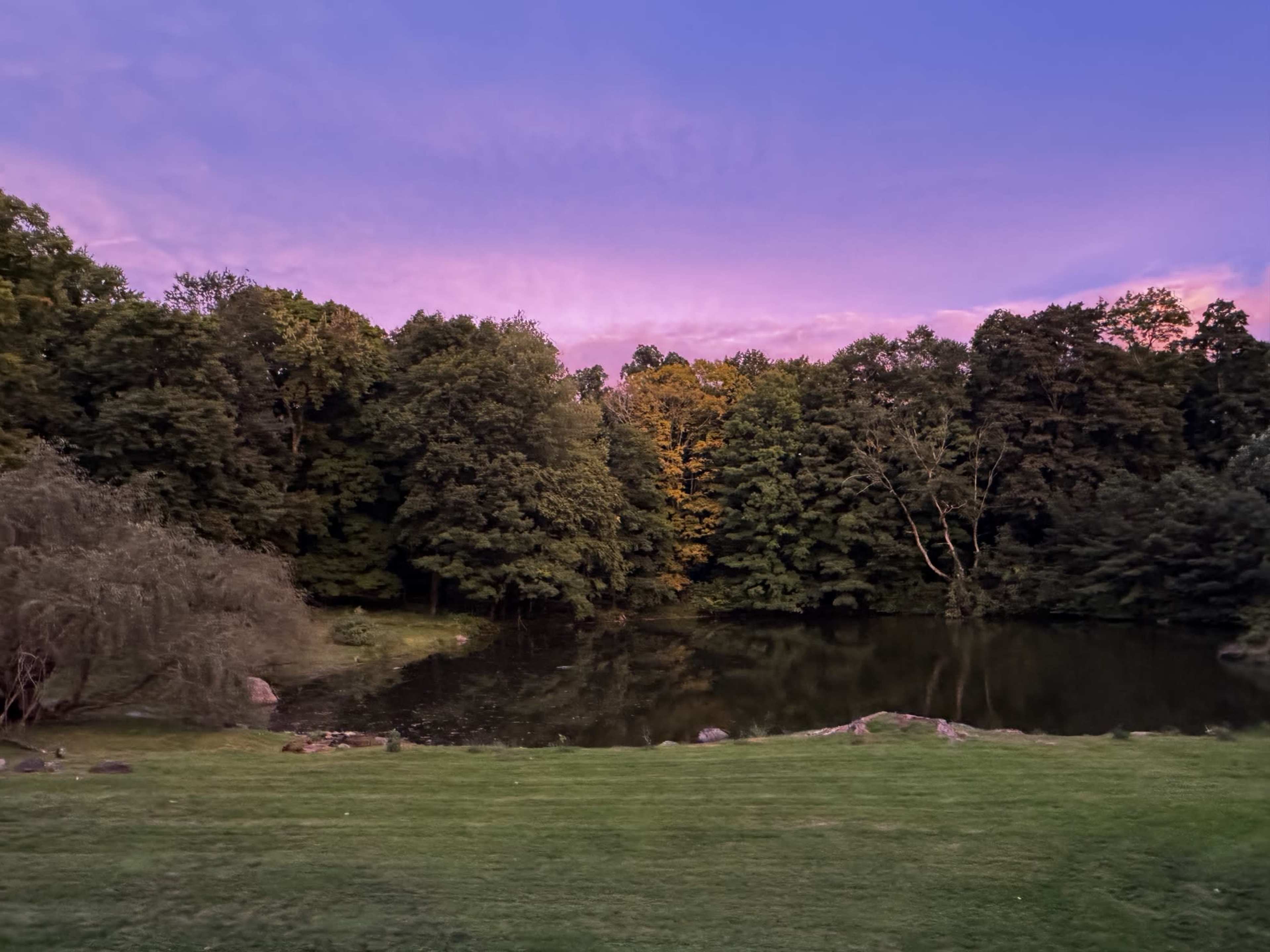The scene features a tranquil pond surrounded by dense trees, with a vibrant pink and purple sky at sunset.