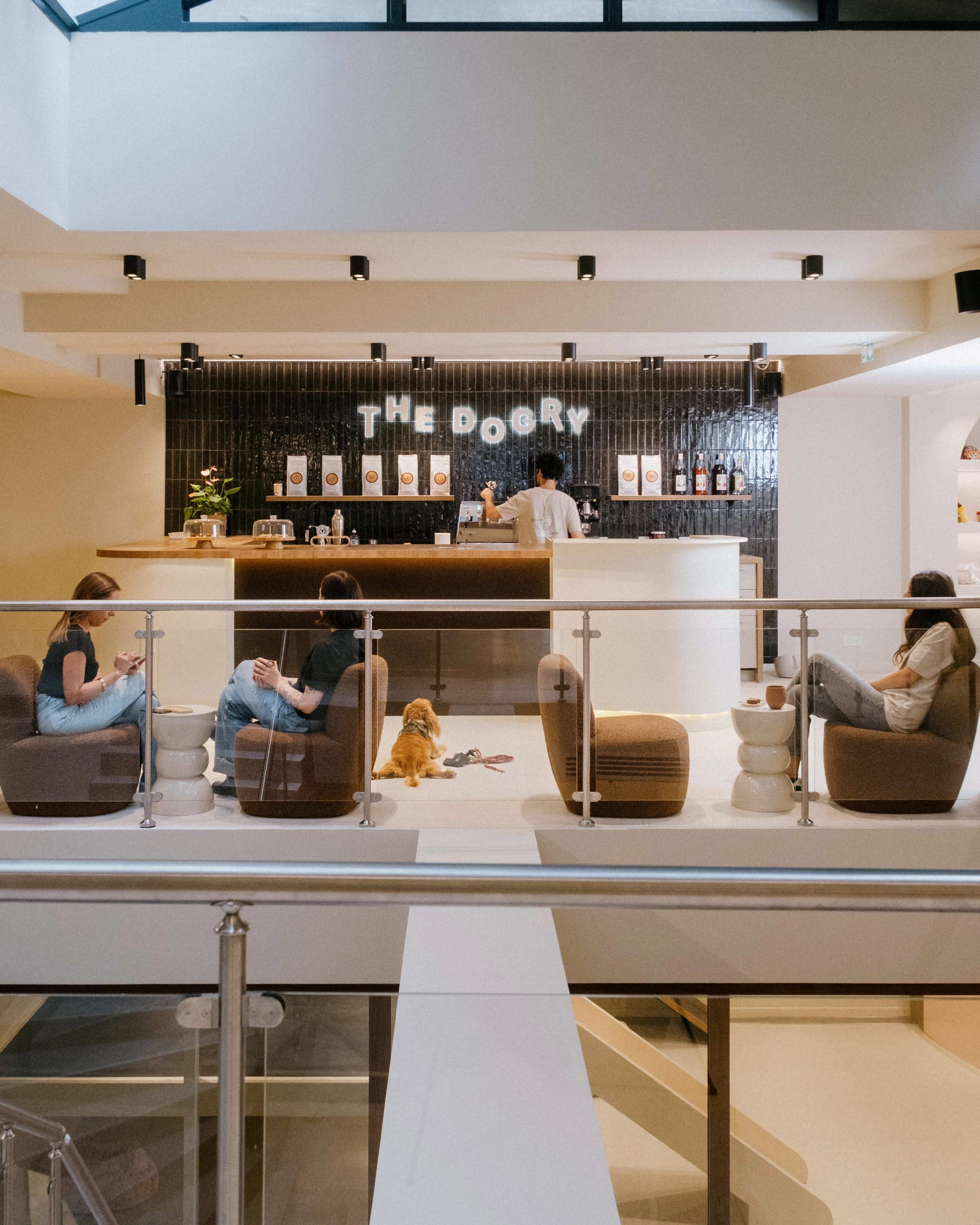 A modern cafe features a counter with the sign "THE DOGRY," where a barista is preparing drinks while customers relax on comfortable seating, with a dog sitting on the floor.