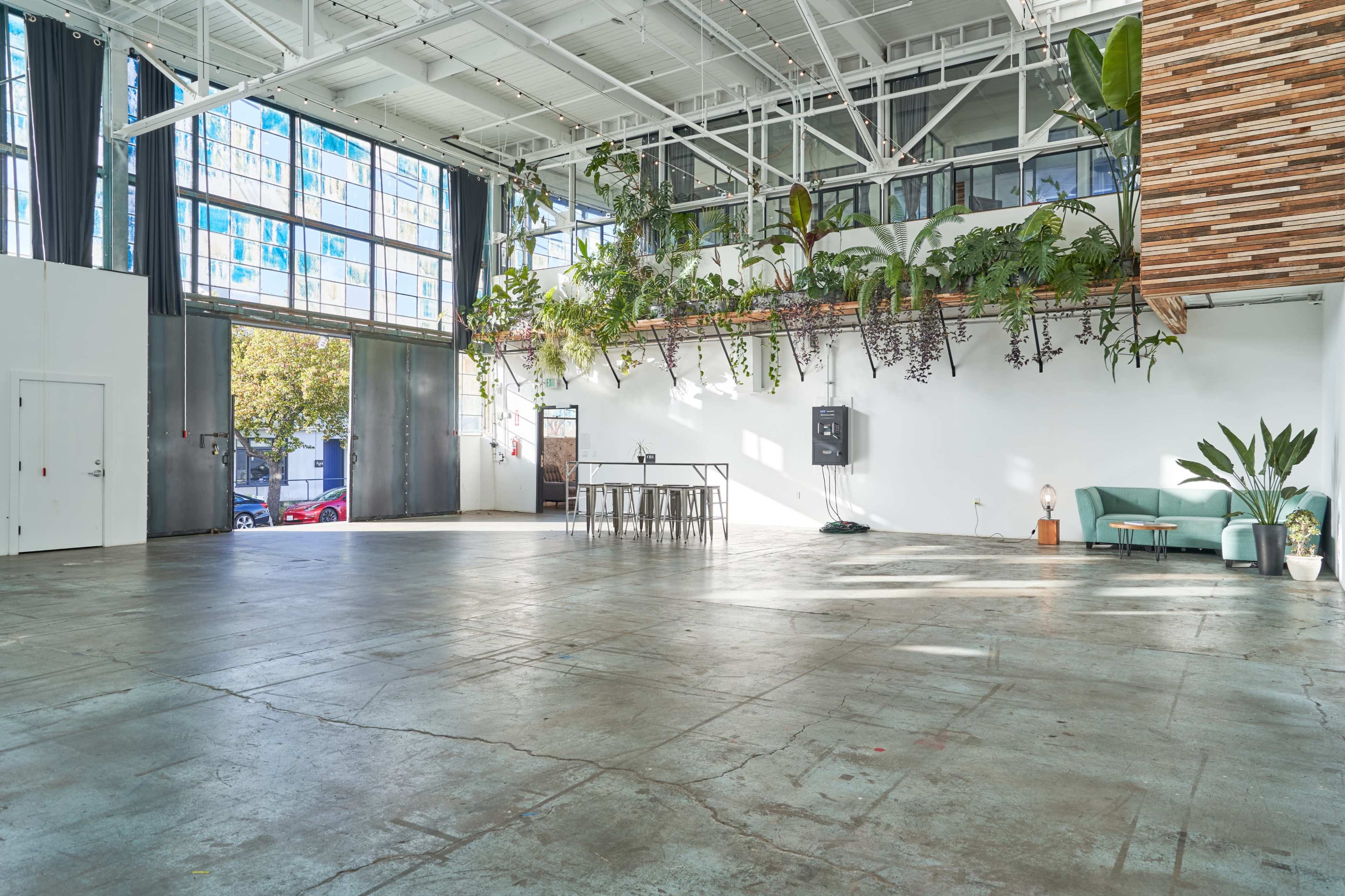 A spacious industrial-style room with large windows, concrete flooring, and greenery hanging from the ceiling along one wall.