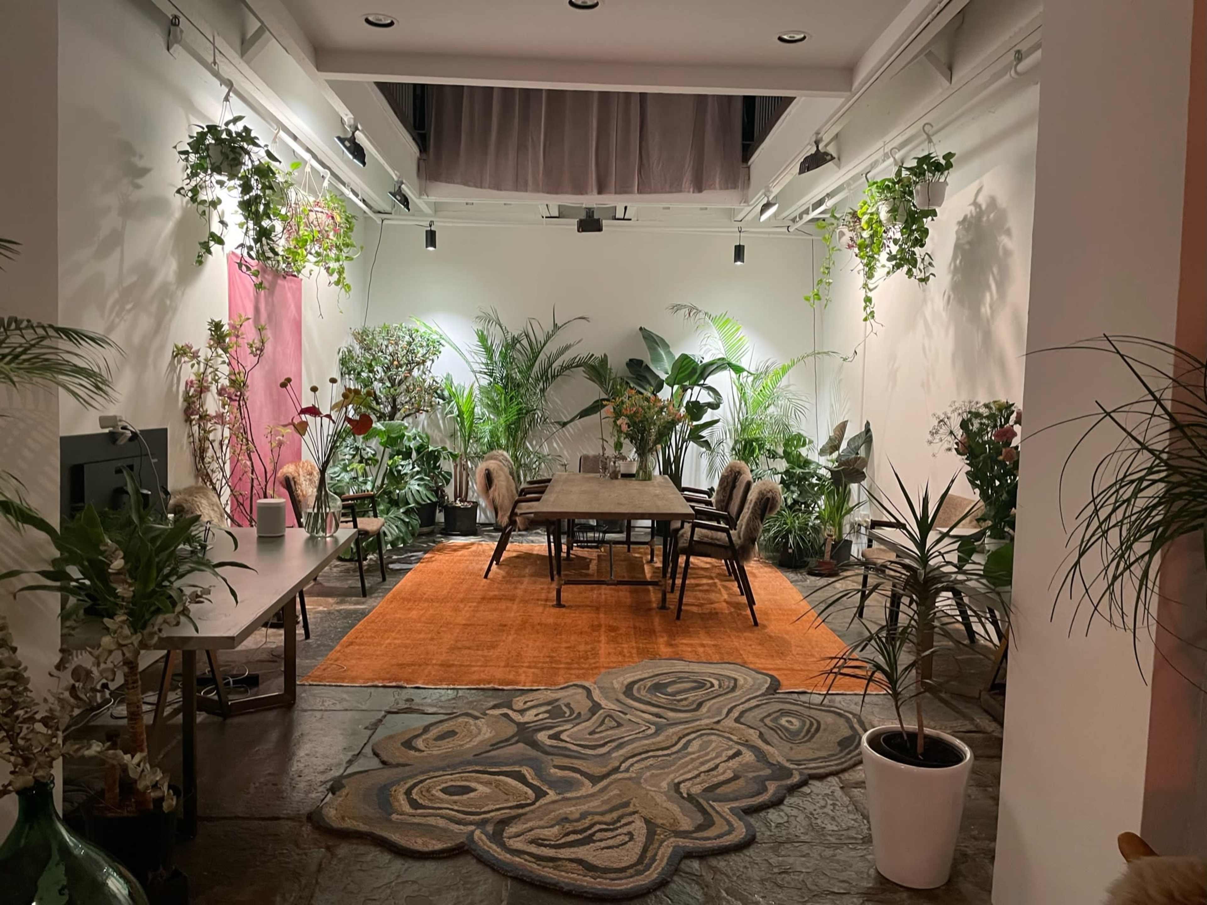 A spacious indoor setting features a central dining table surrounded by chairs, with various plants and a large area rug adding decorative elements.
