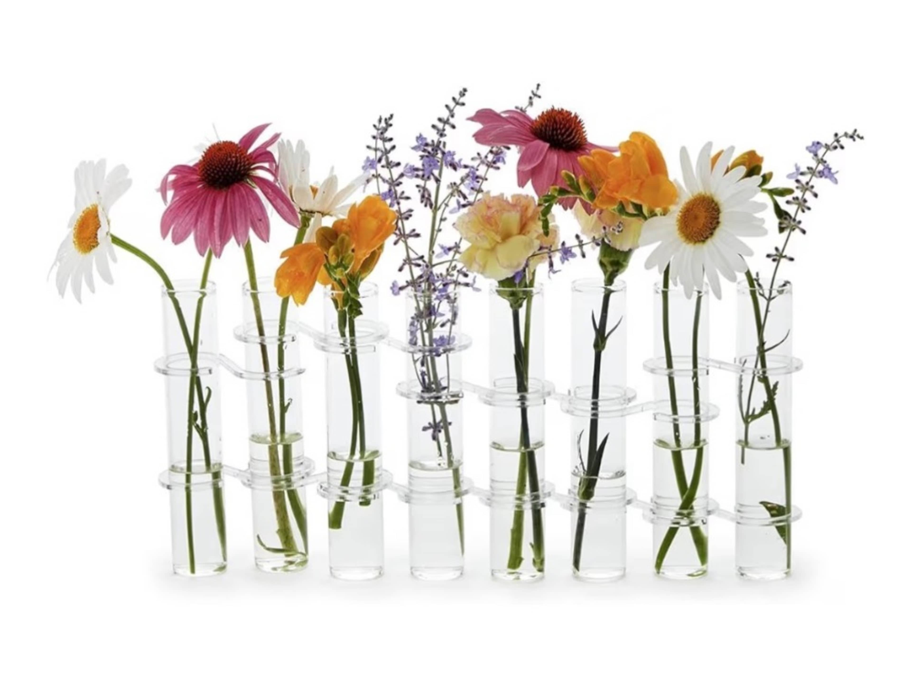 Bud Vases Package 