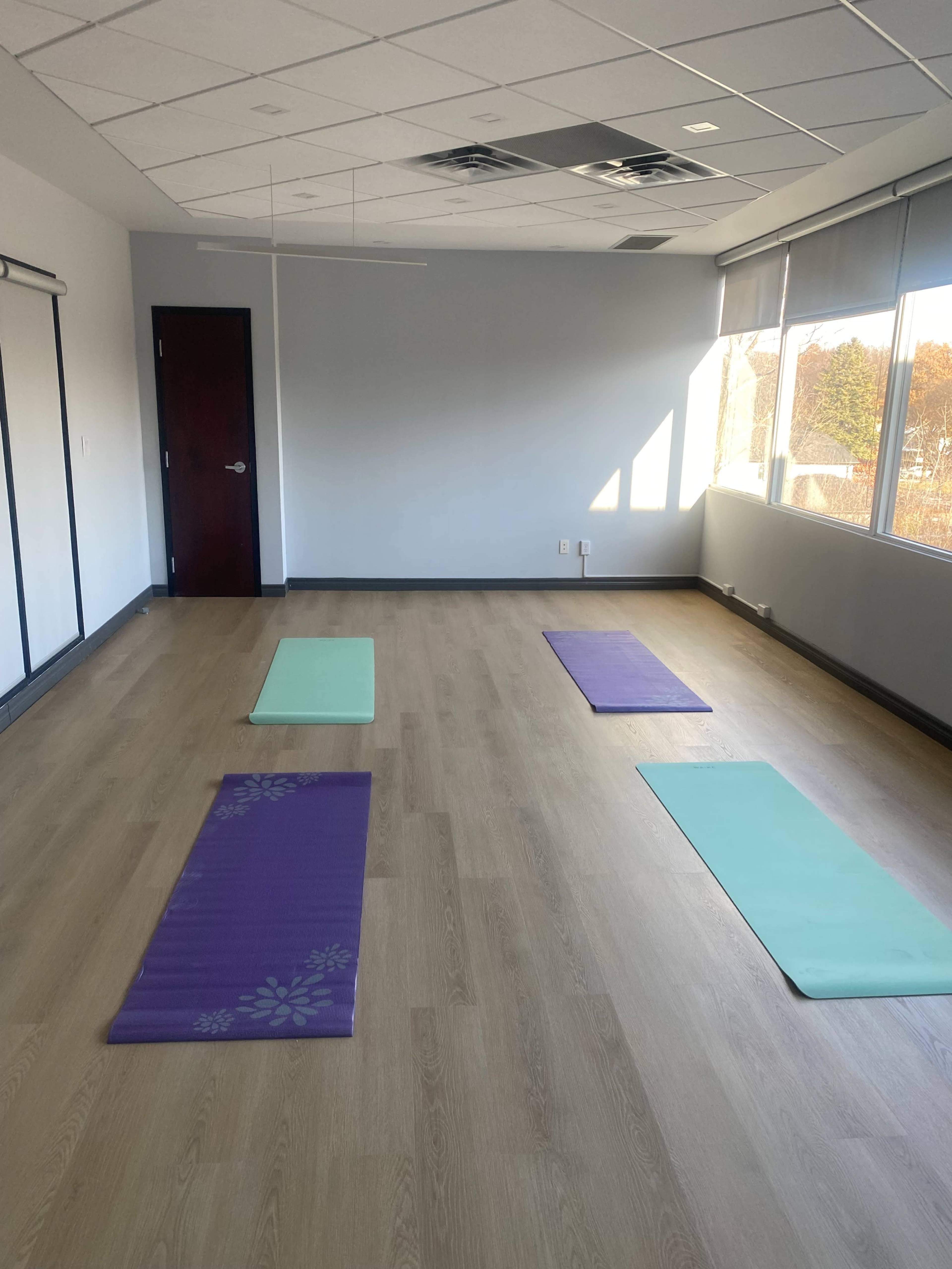 Mississauga Yoga Studio Image in Mineola, Mississauga, ON