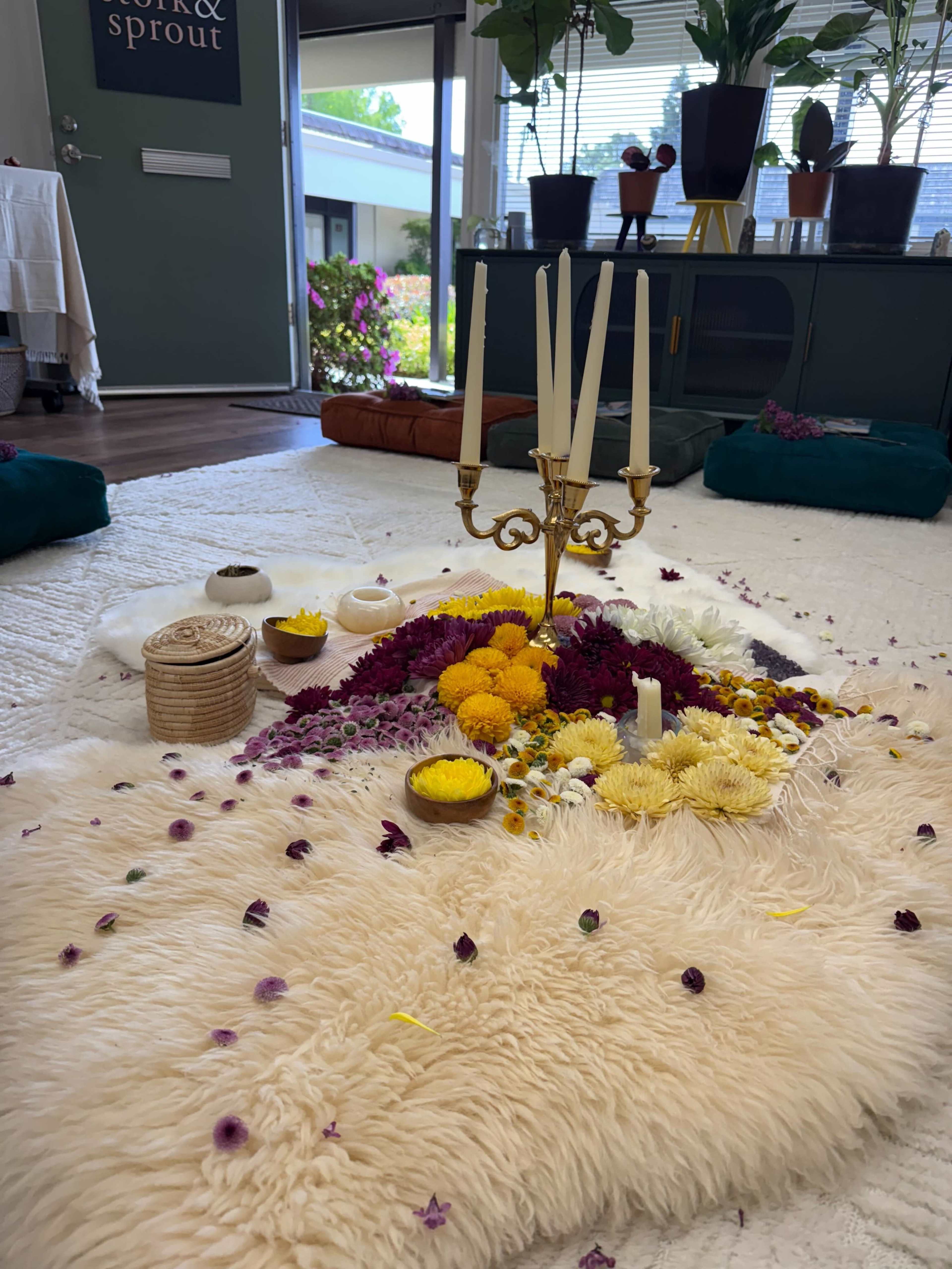 Cozy Wellness Retreat Room Image in Napa, Napa, CA