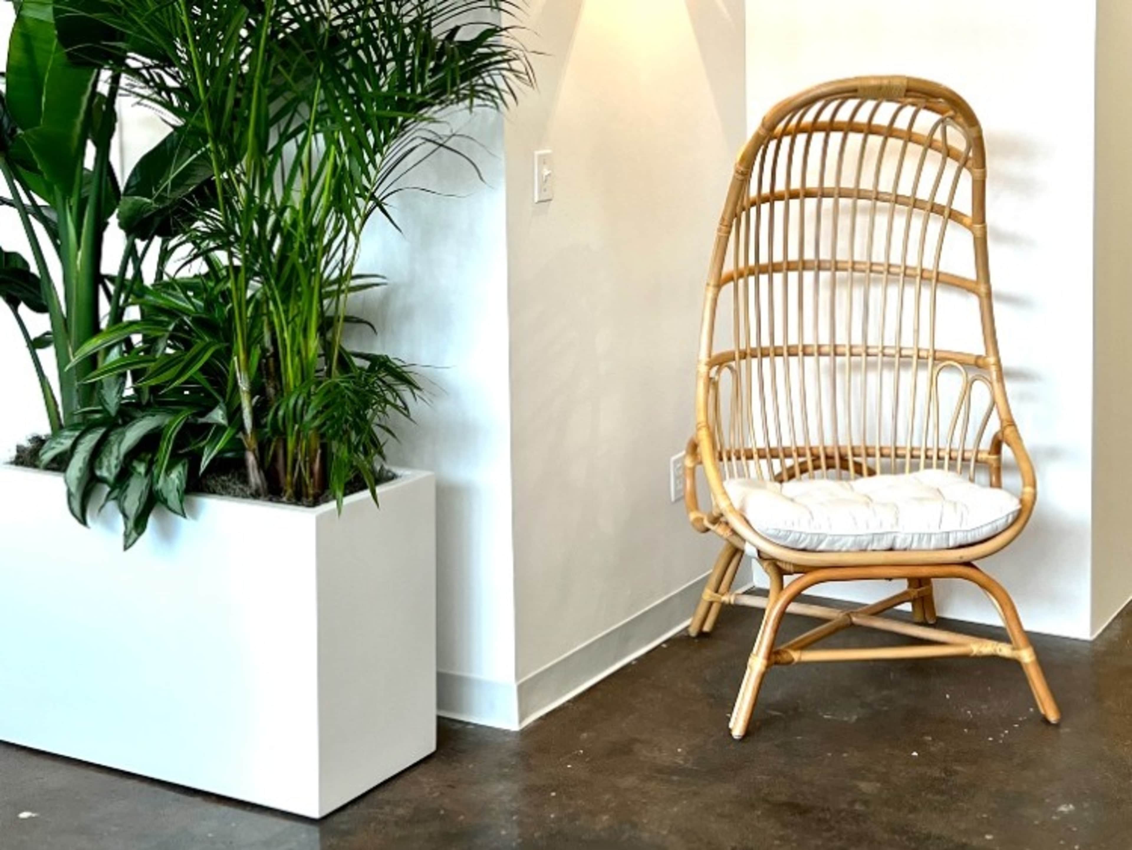 Cocoon Chair