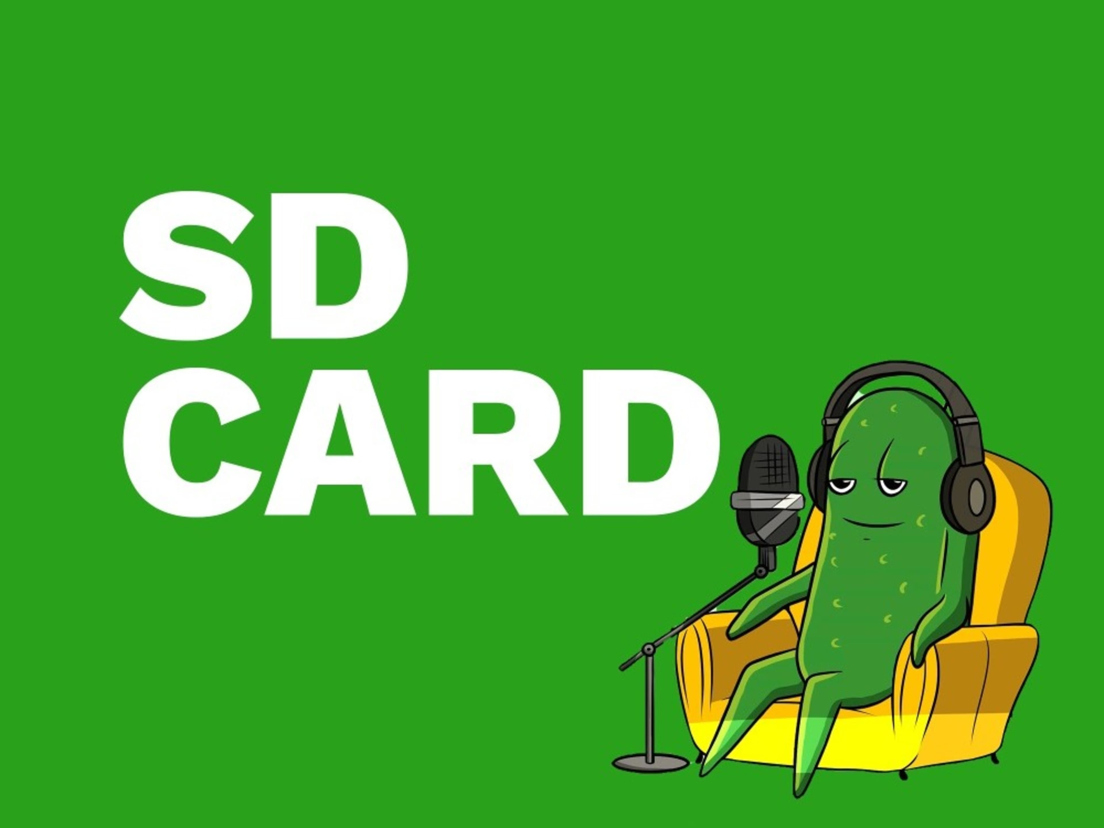 SD Card - CAMERA