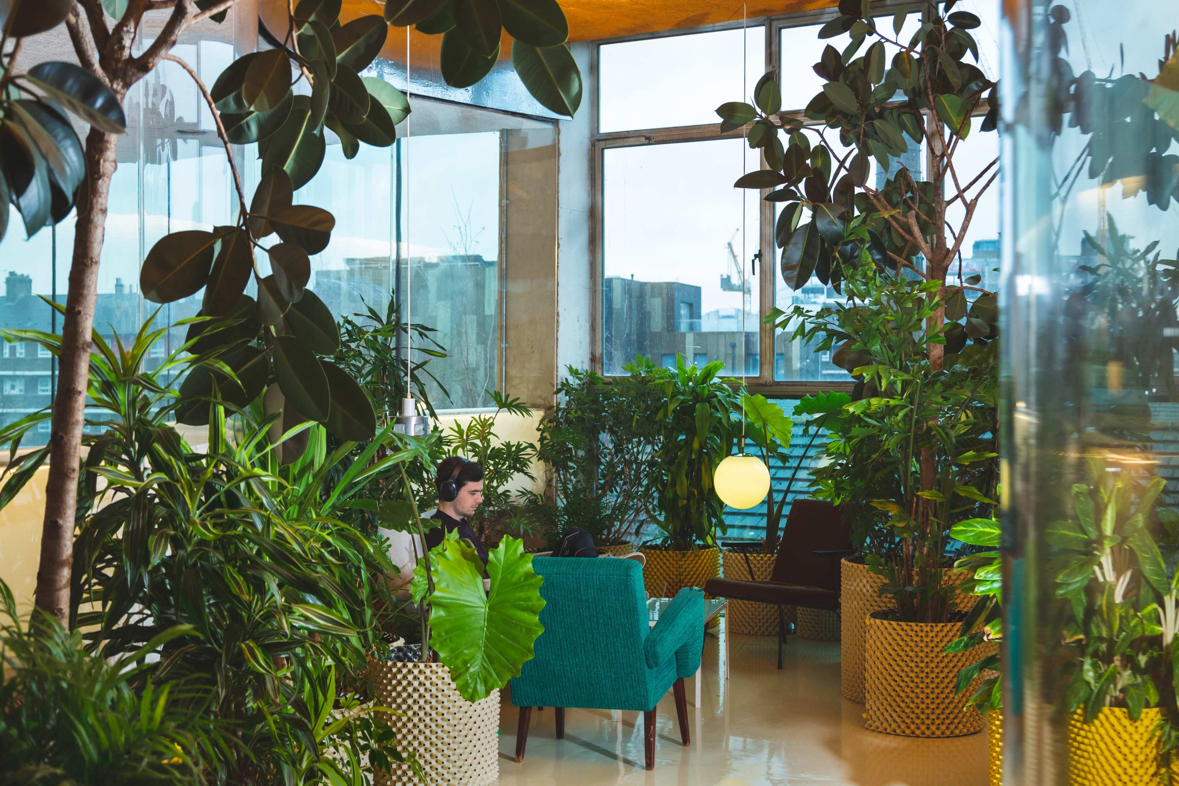 The image shows a modern indoor space filled with various plants, featuring a person sitting on a turquoise couch amidst large windows and natural light.