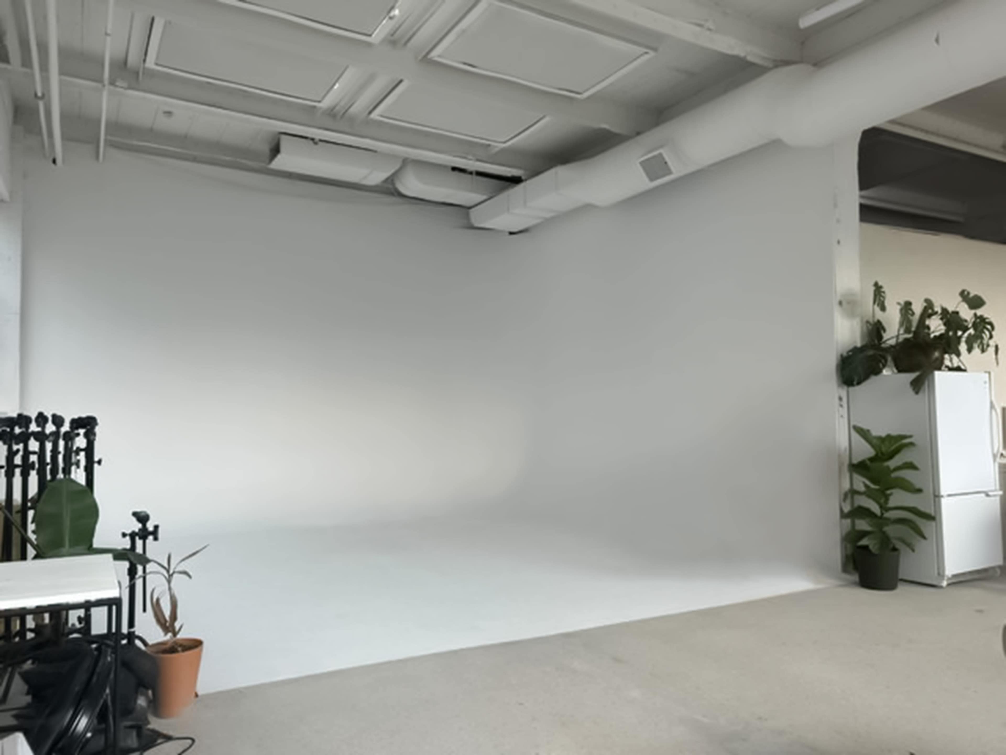 A minimalistic studio space with a white backdrop, a refrigerator, and potted plants in the corner.