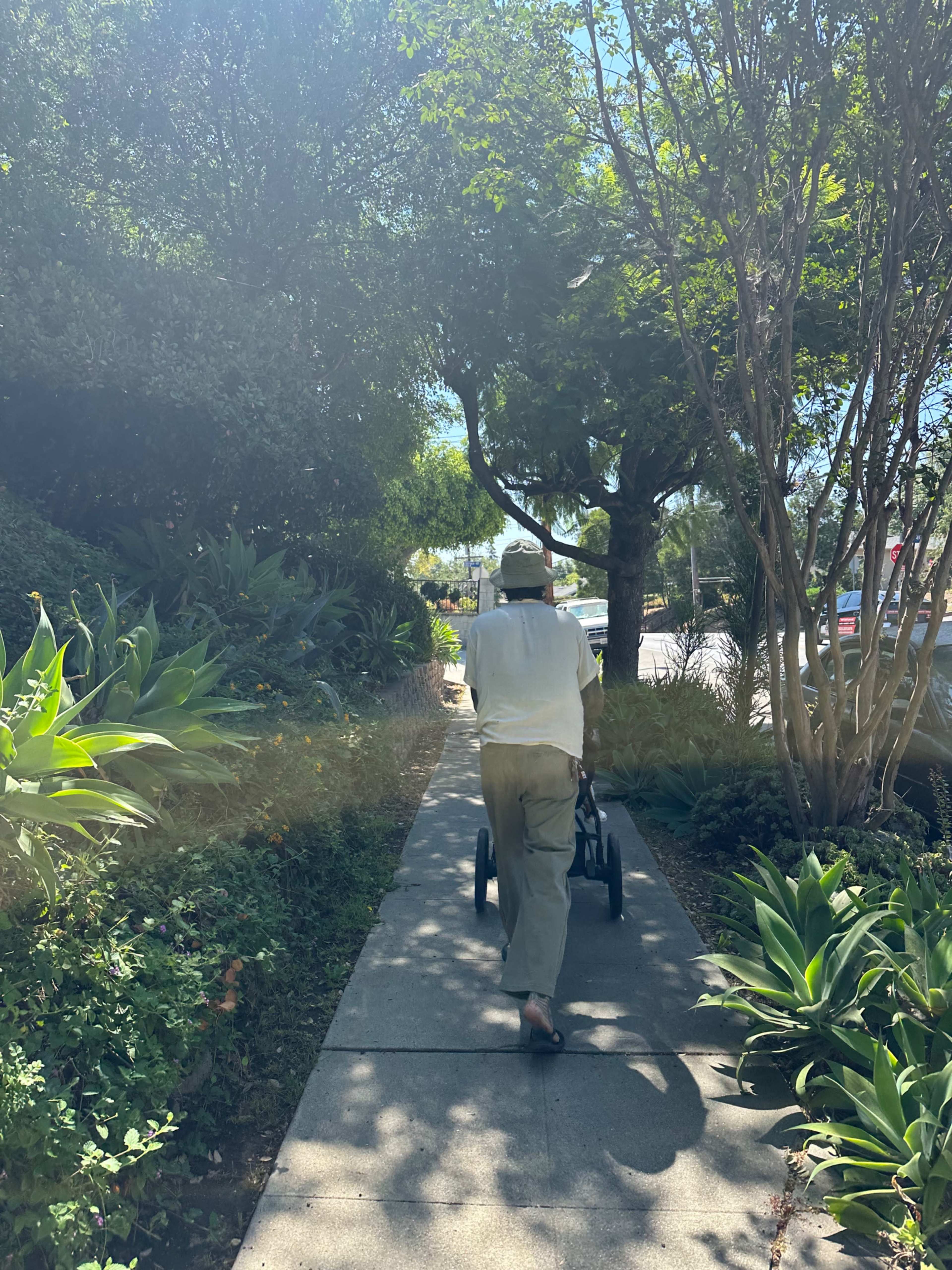 An elderly man walks along a sidewalk using a walker, surrounded by greenery and trees.