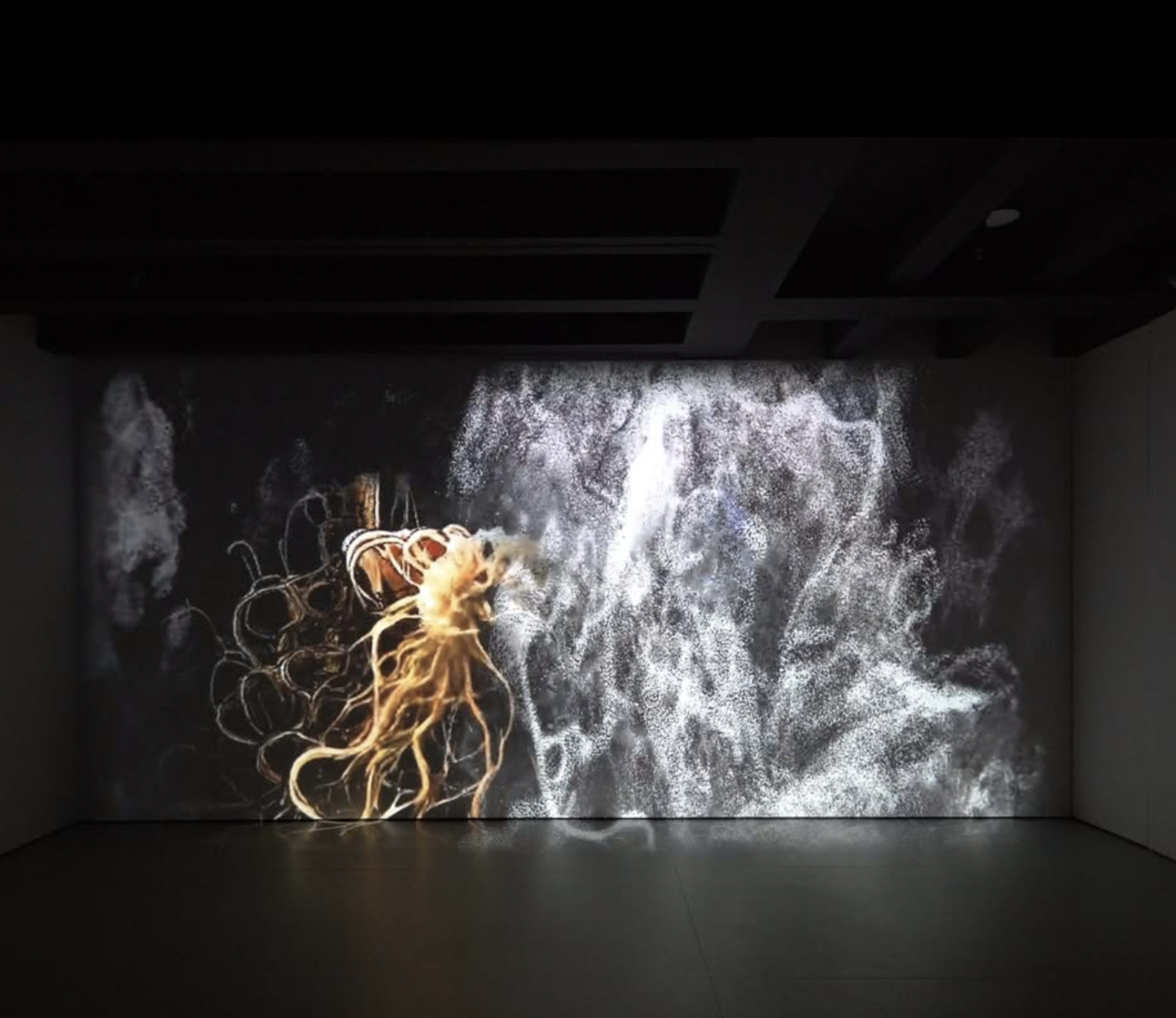 An abstract projection of swirling smoke and organic shapes is displayed on a large wall in a dimly lit room.