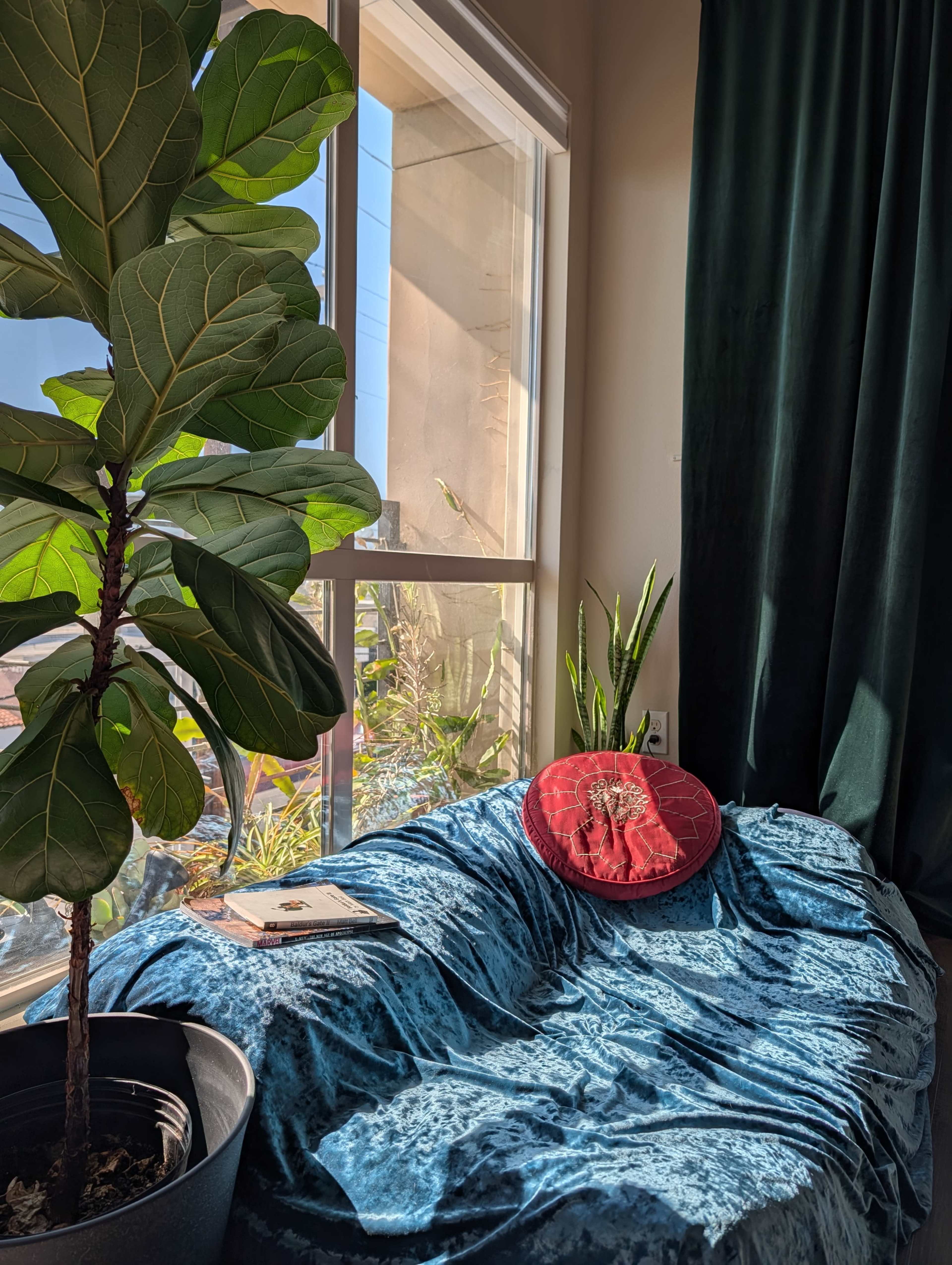 A cozy nook features a plush blue throw on a seat, a red decorative pillow, and a tall fiddle leaf fig plant near a sunlit window.