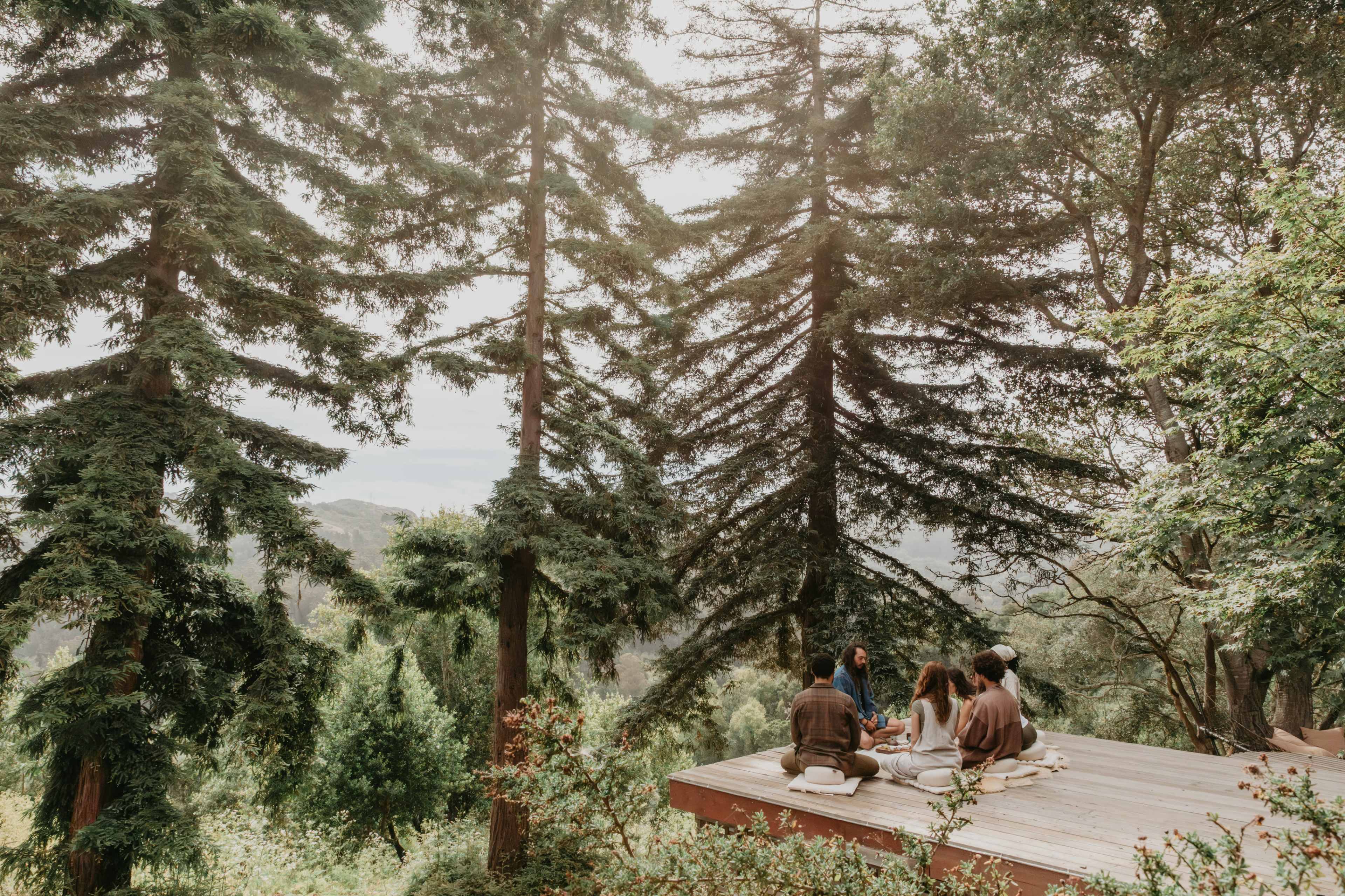 Film/Photo Location -Berkeley Hills Retreat with Tilden Park View Image in , Berkeley, CA