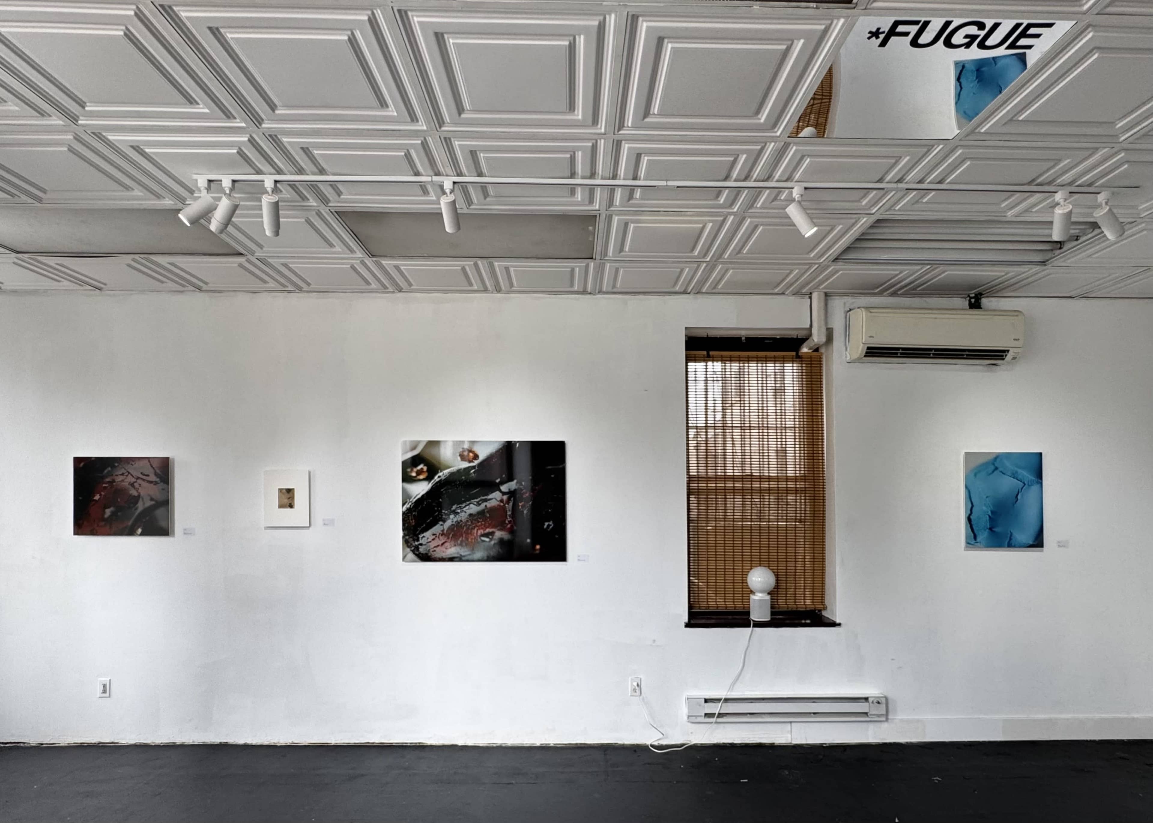The image shows an art gallery featuring several framed photographs displayed on white walls beneath a textured ceiling.