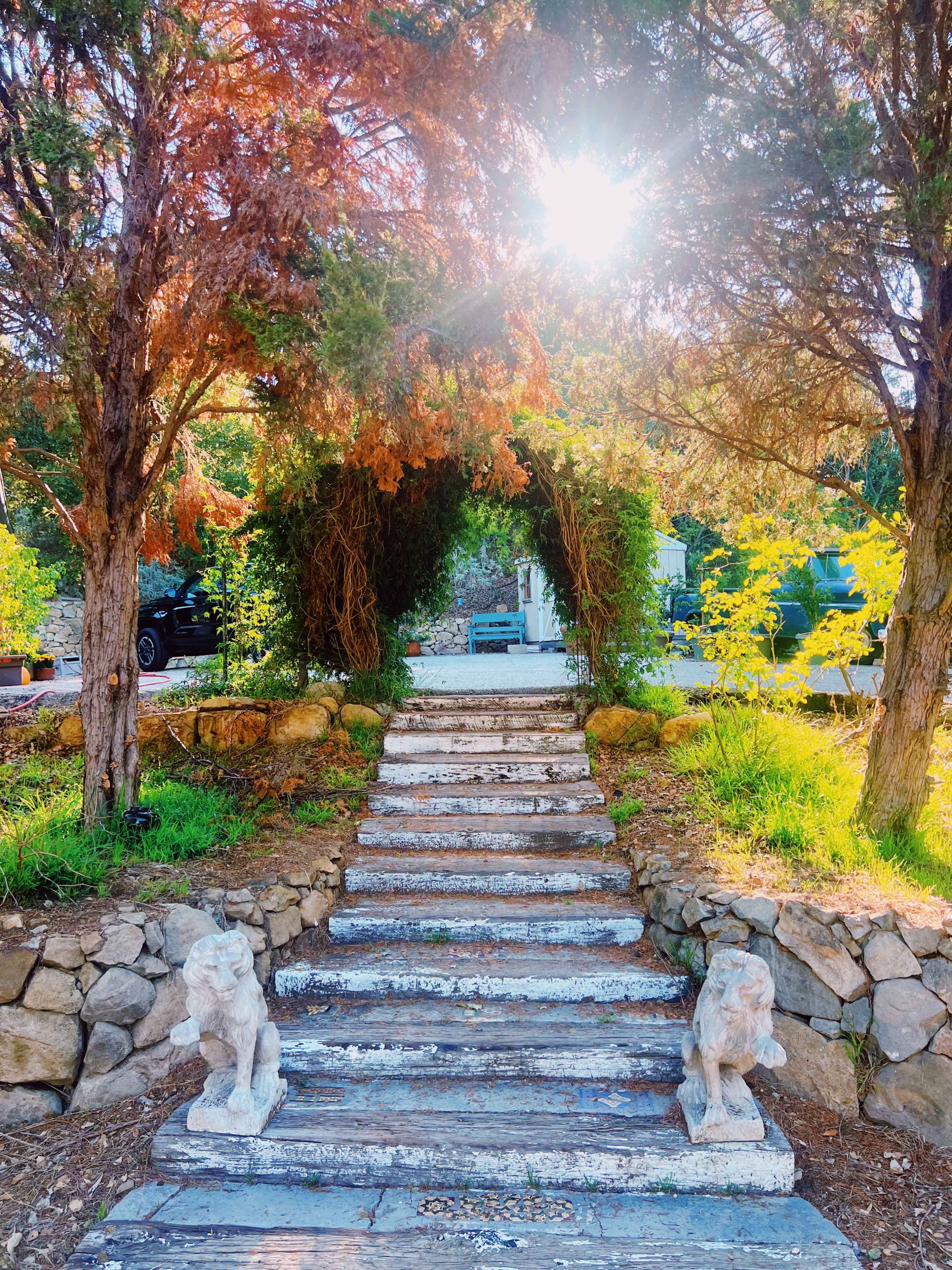 A set of weathered stone steps leads through a grove of trees, with two lion statues flanking the entrance and sunlight filtering through the branches.