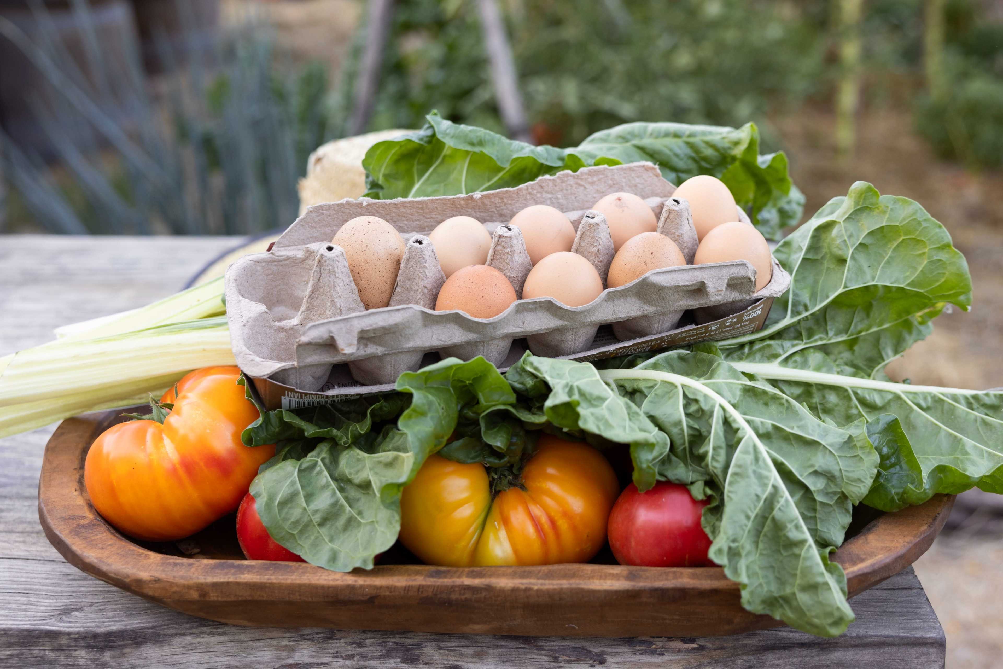 Hidden garden retreat in the heart of down town Petaluma with a vintage Airstream and outdoor fire pit. Image in Petaluma, Petaluma, CA