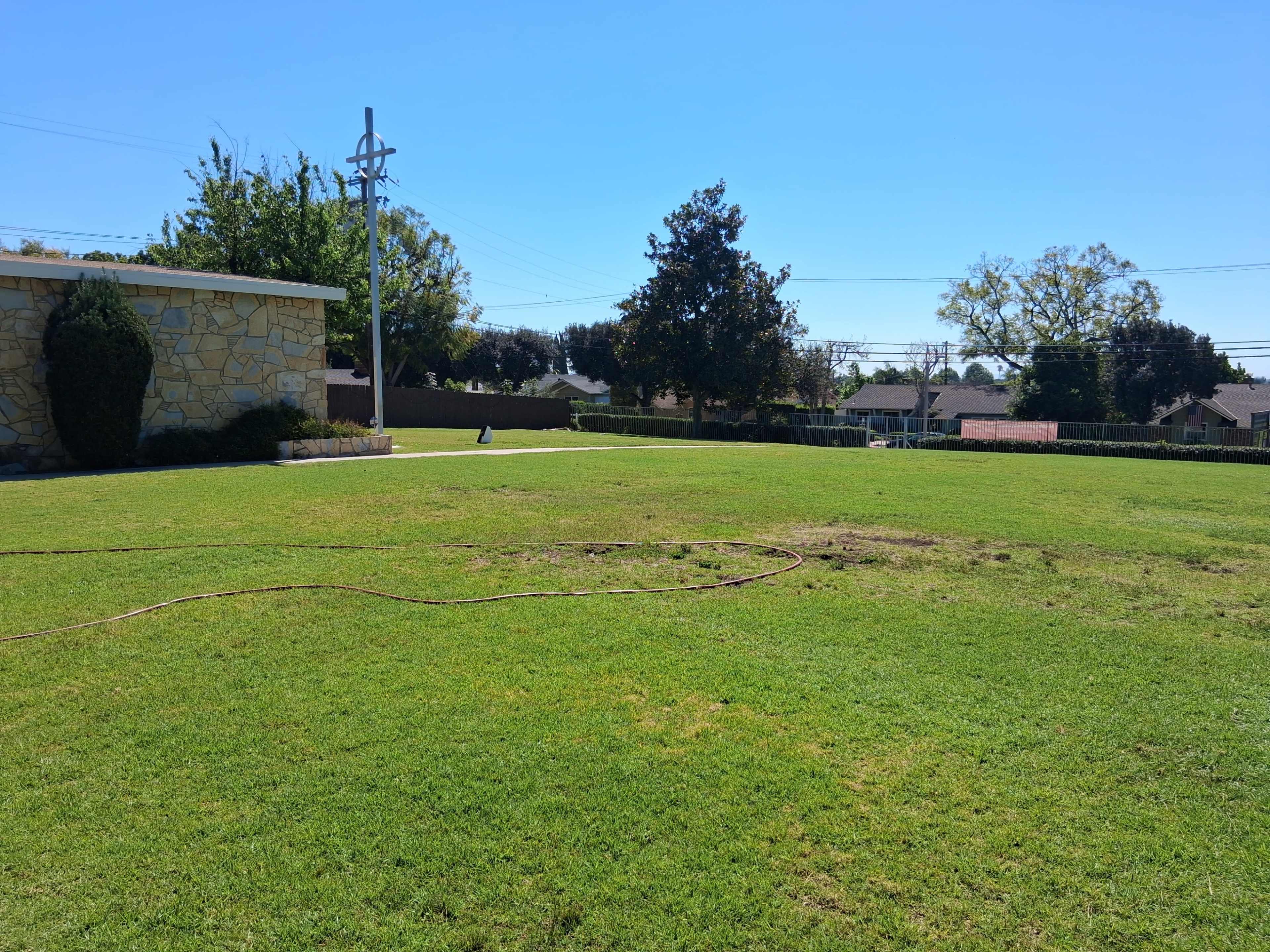 The image shows a grassy area with a patch of bare ground, electrical poles in the background, and a building to the left.