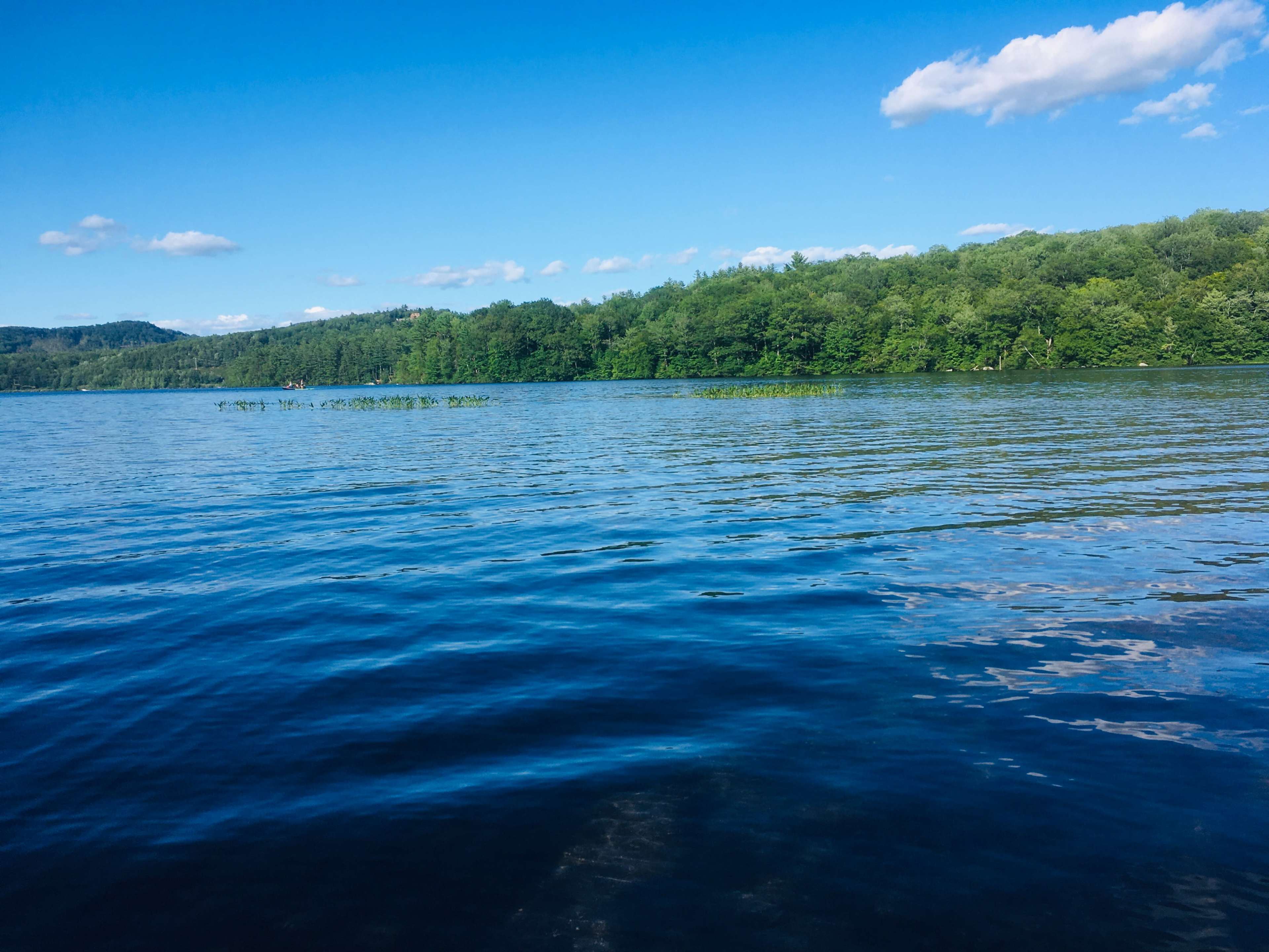 A clear blue lake is surrounded by lush green trees under a bright sky with scattered clouds.