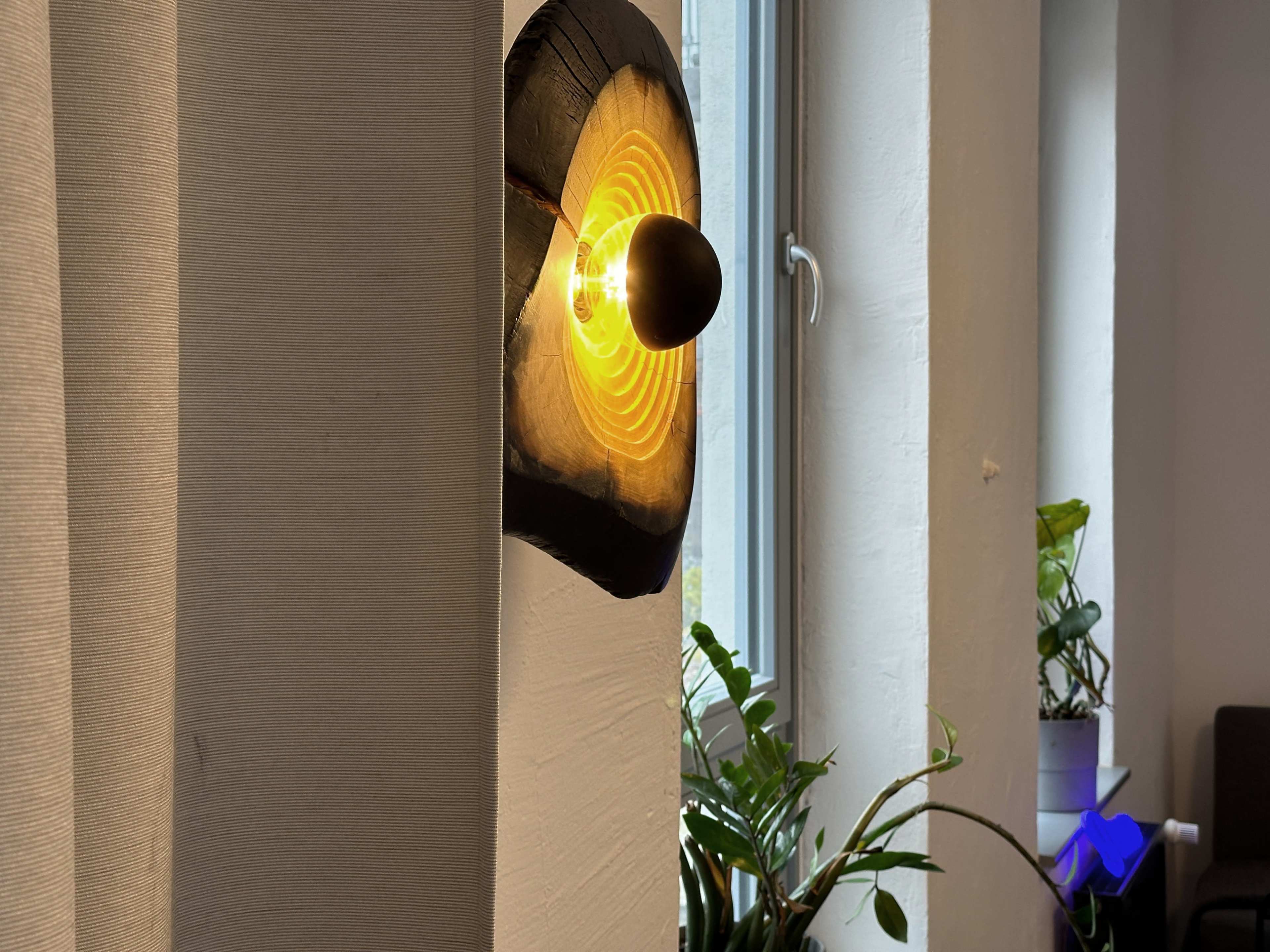 A mounted lamp with a circular design casts light on a wall in a room with plants and a window.