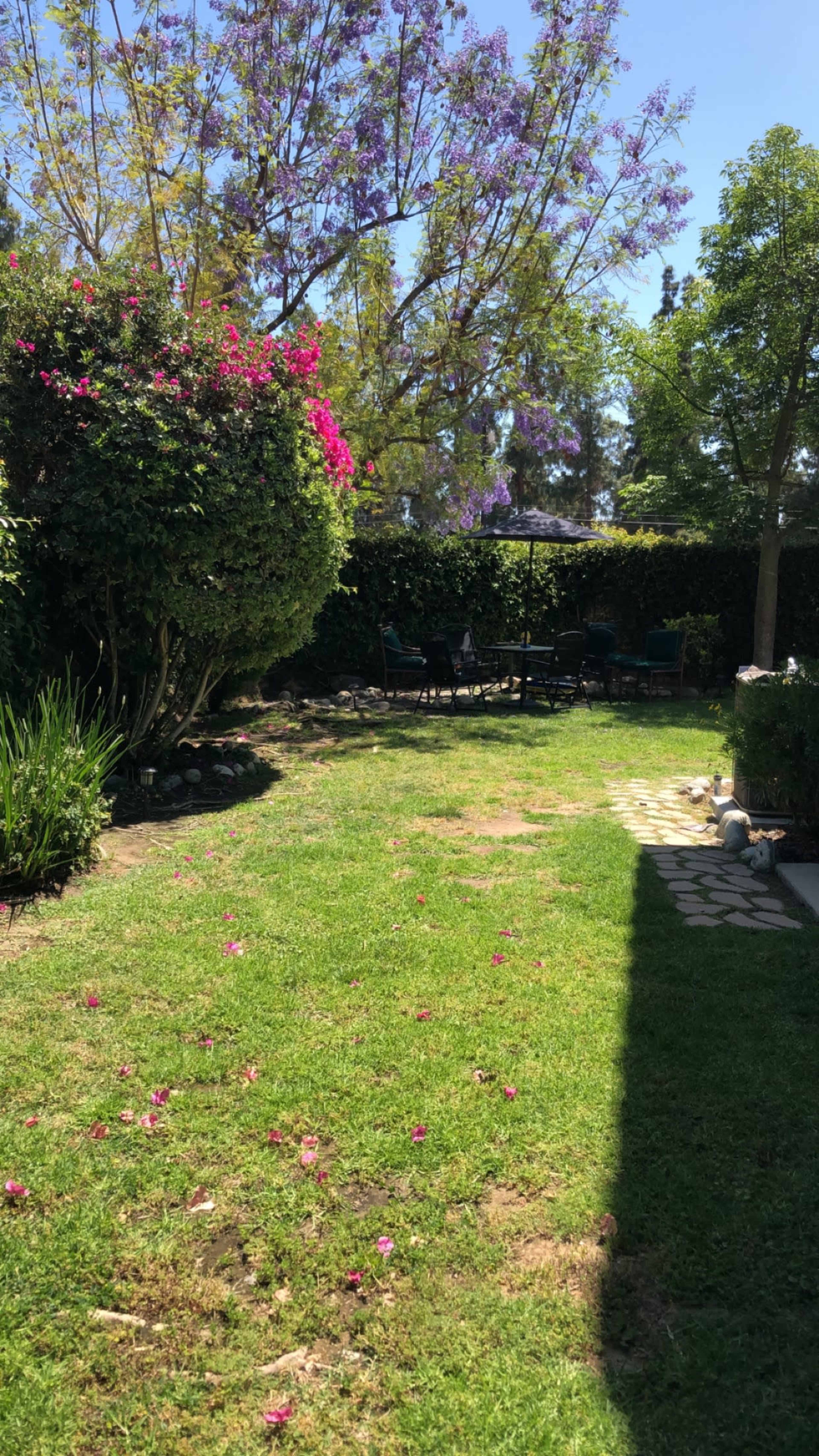 A grassy garden area with scattered flowers, shaded by lush greenery and trees.