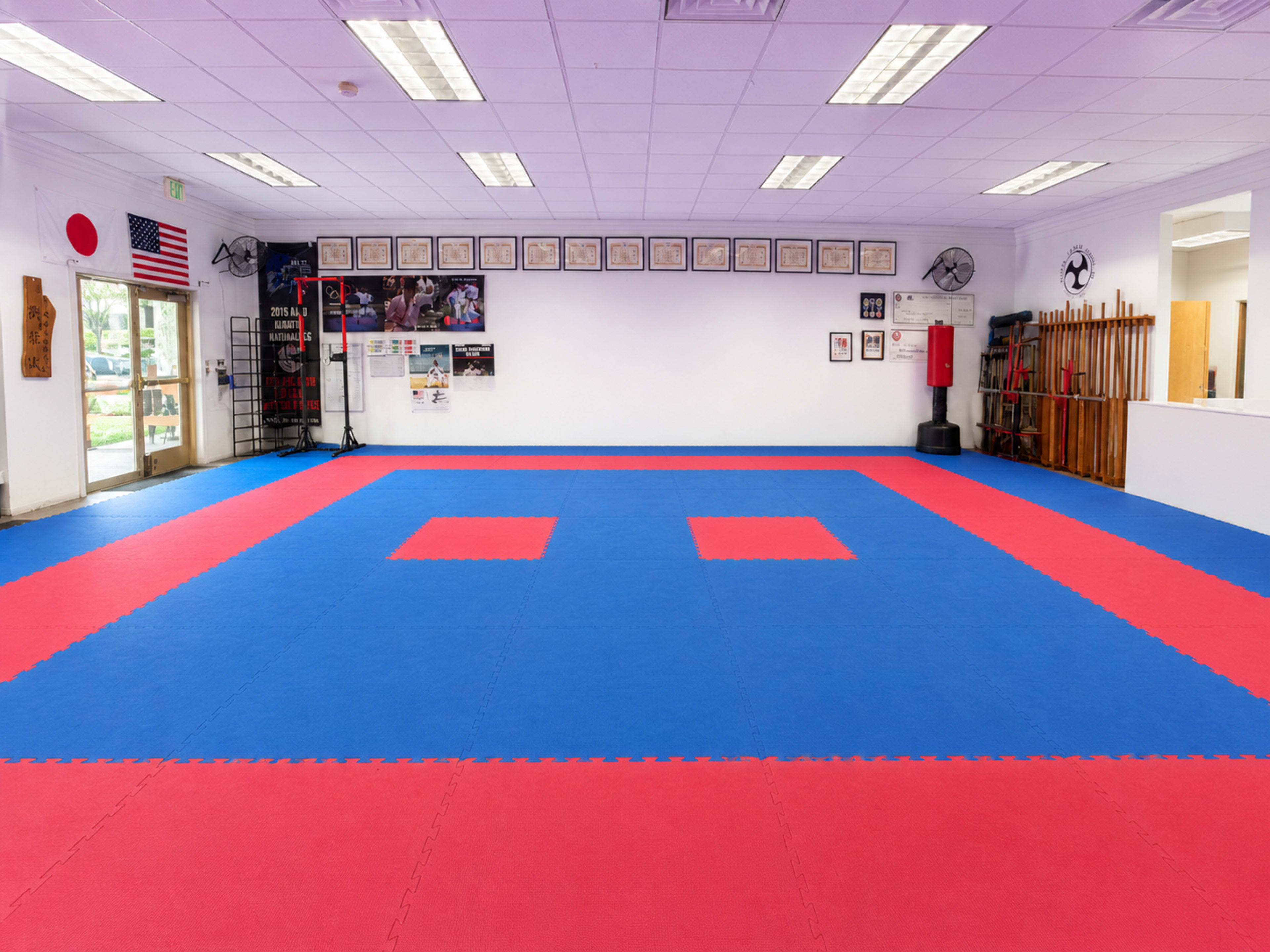 The image shows a martial arts dojo with blue and red mats and various training equipment along the walls.