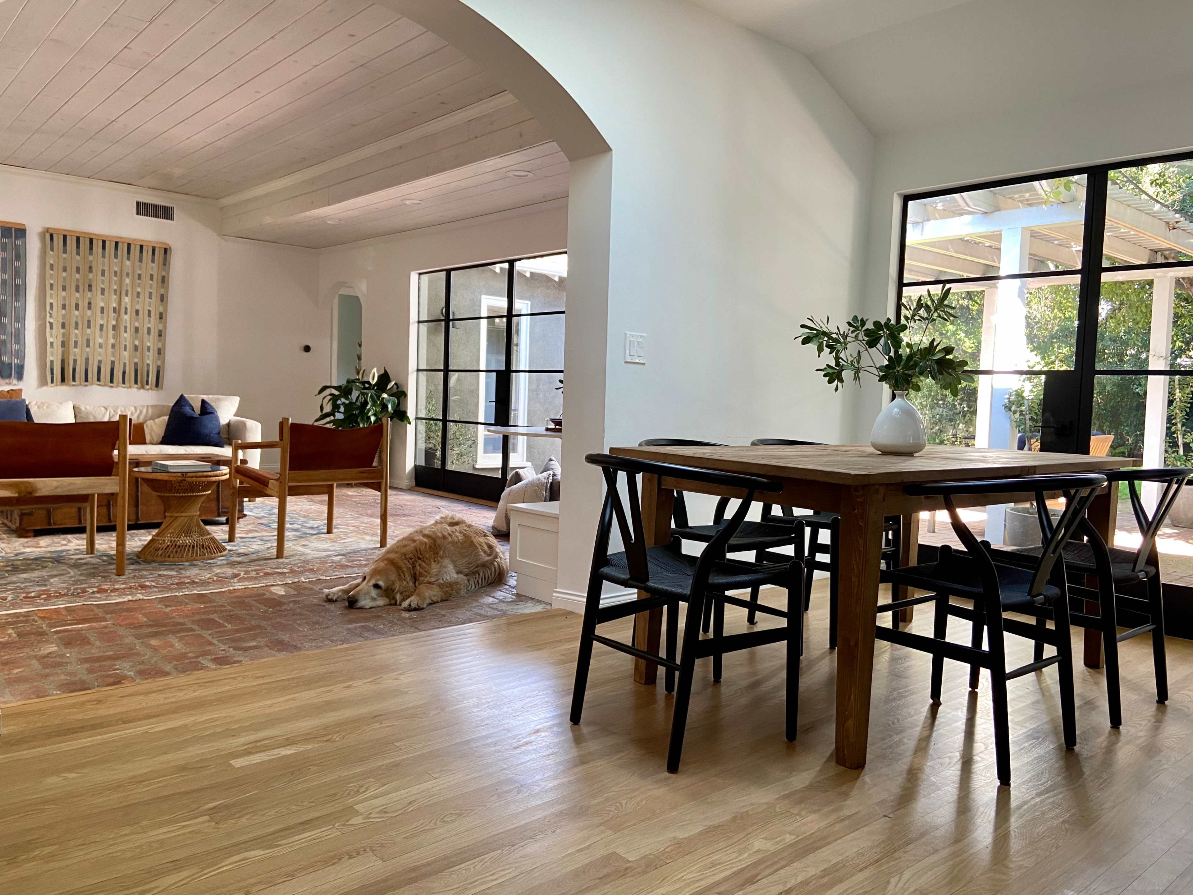 A modern interior space featuring a dining table with chairs, a cozy living area with a sofa, and a dog resting on the floor near a large window.