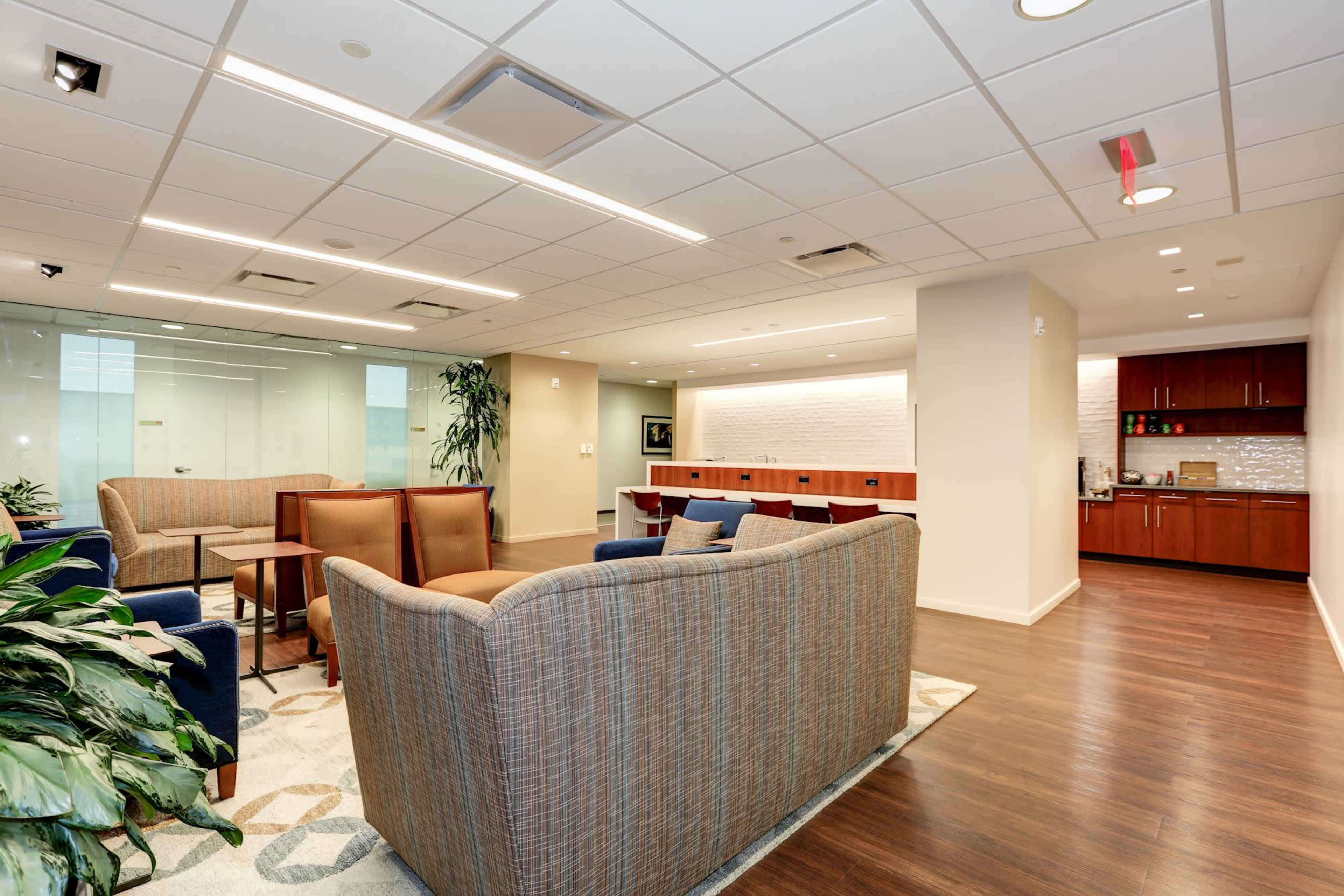 A modern office lounge with seating areas, a kitchenette, and potted plants.