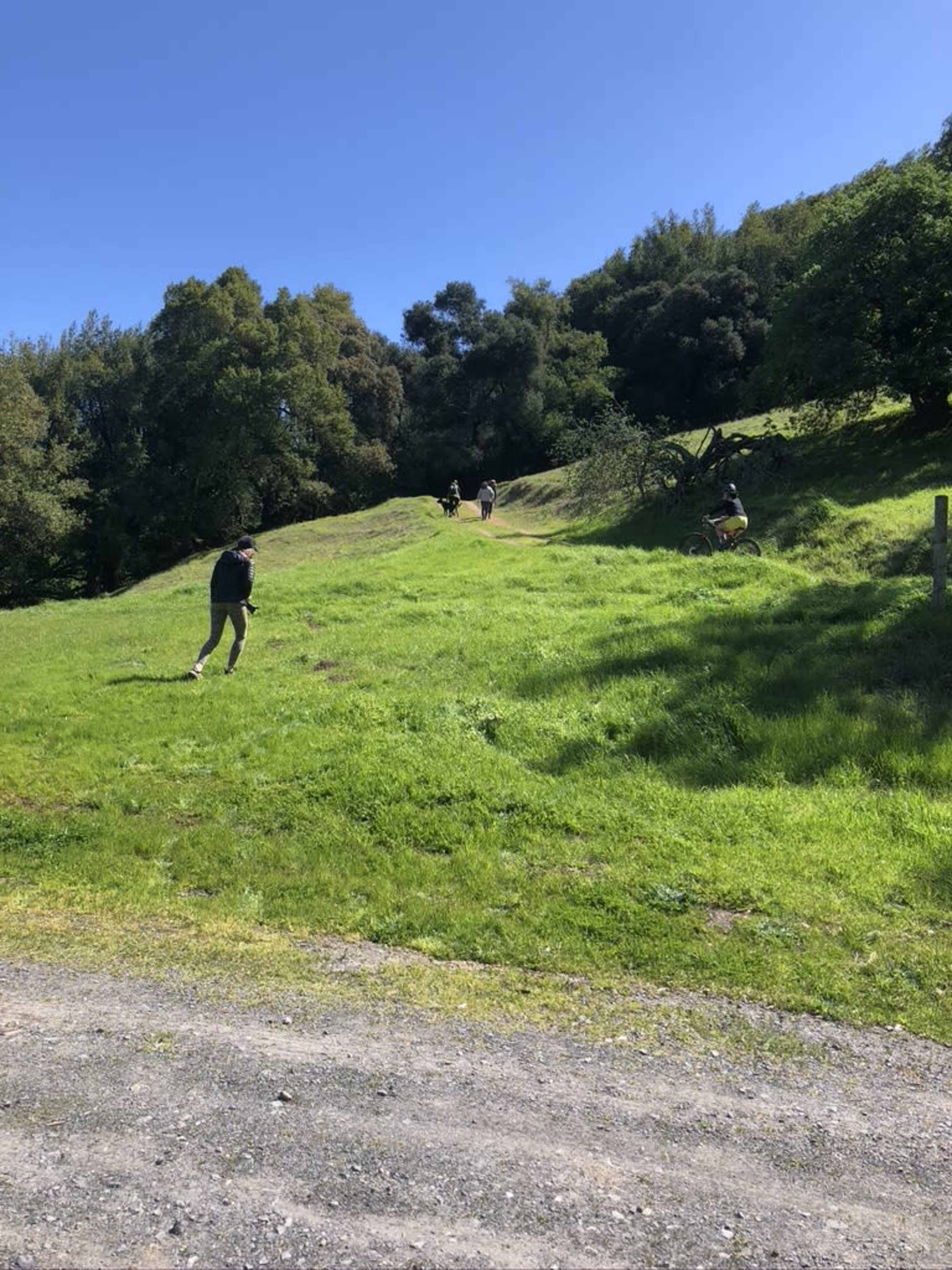 63 Acres of natural beauty! Image in , Petaluma, CA