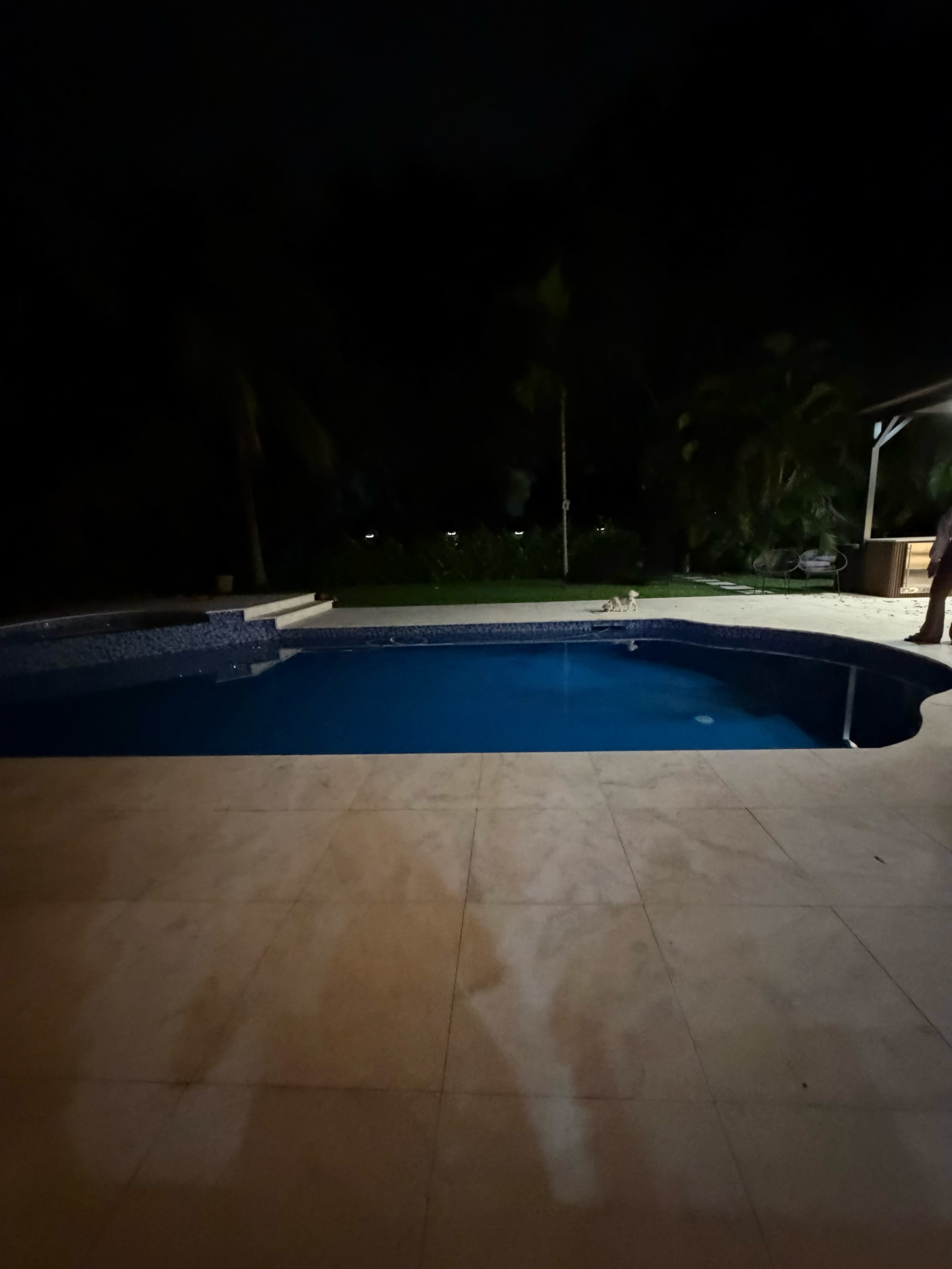 The image shows a swimming pool area at night with a dark surrounding landscape and minimal lighting.