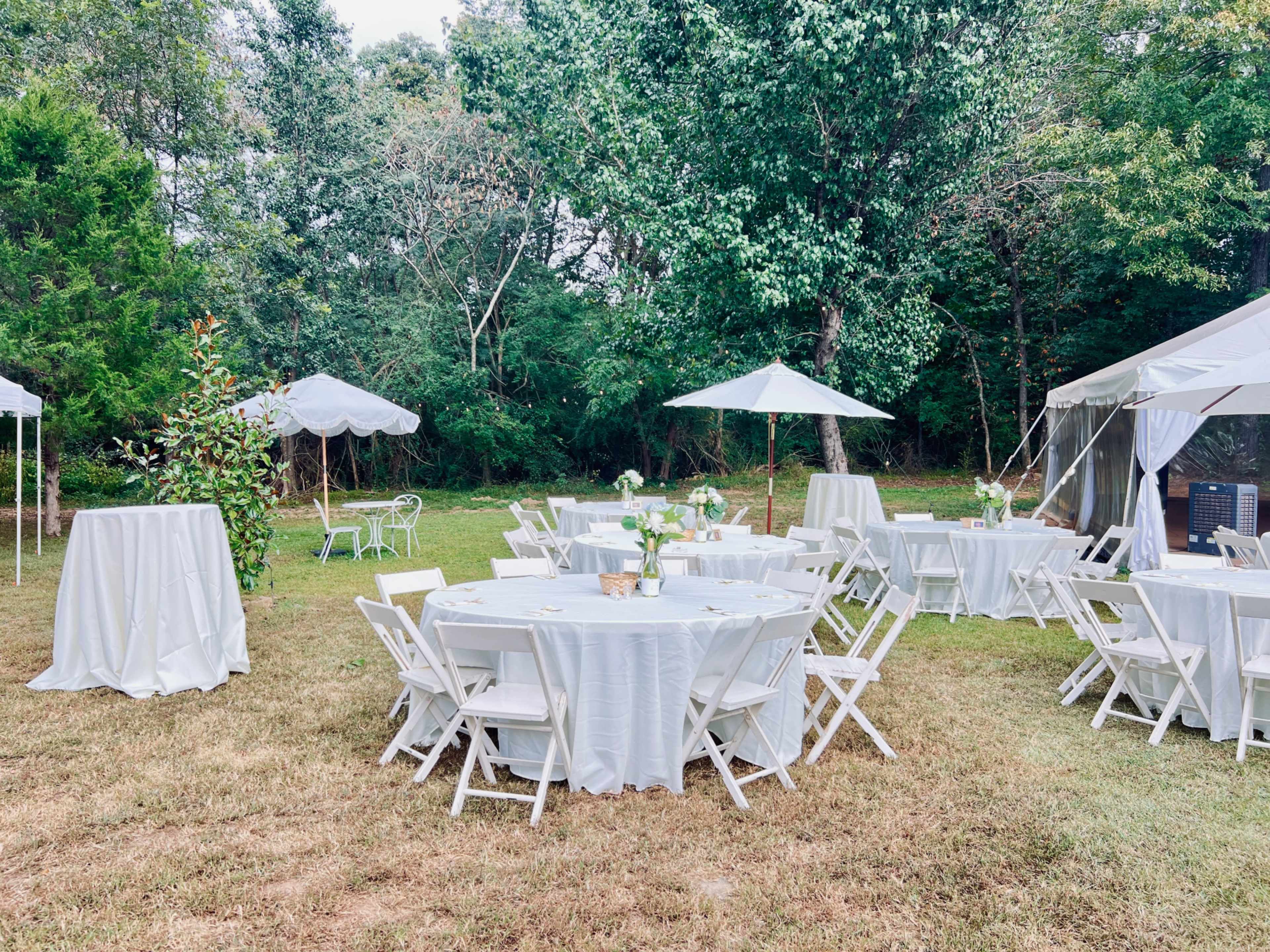Beautiful Vineyard & Orchard with Covered Pavilion for Events | Outdoor Venue near Atlanta (Jonesboro, GA) Image in , Jonesboro, GA