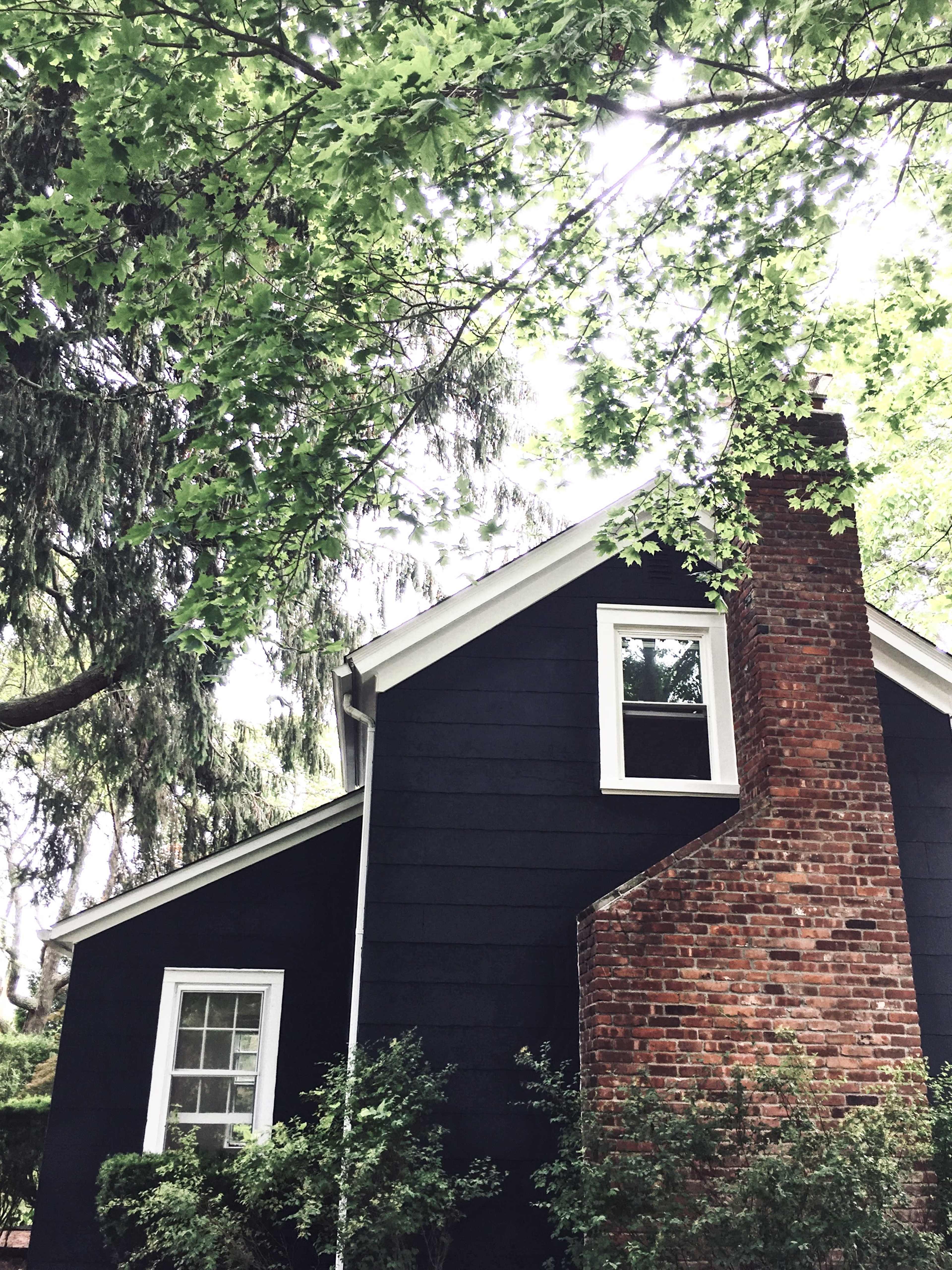 A black-clad house with a brick chimney is partially obscured by green foliage.