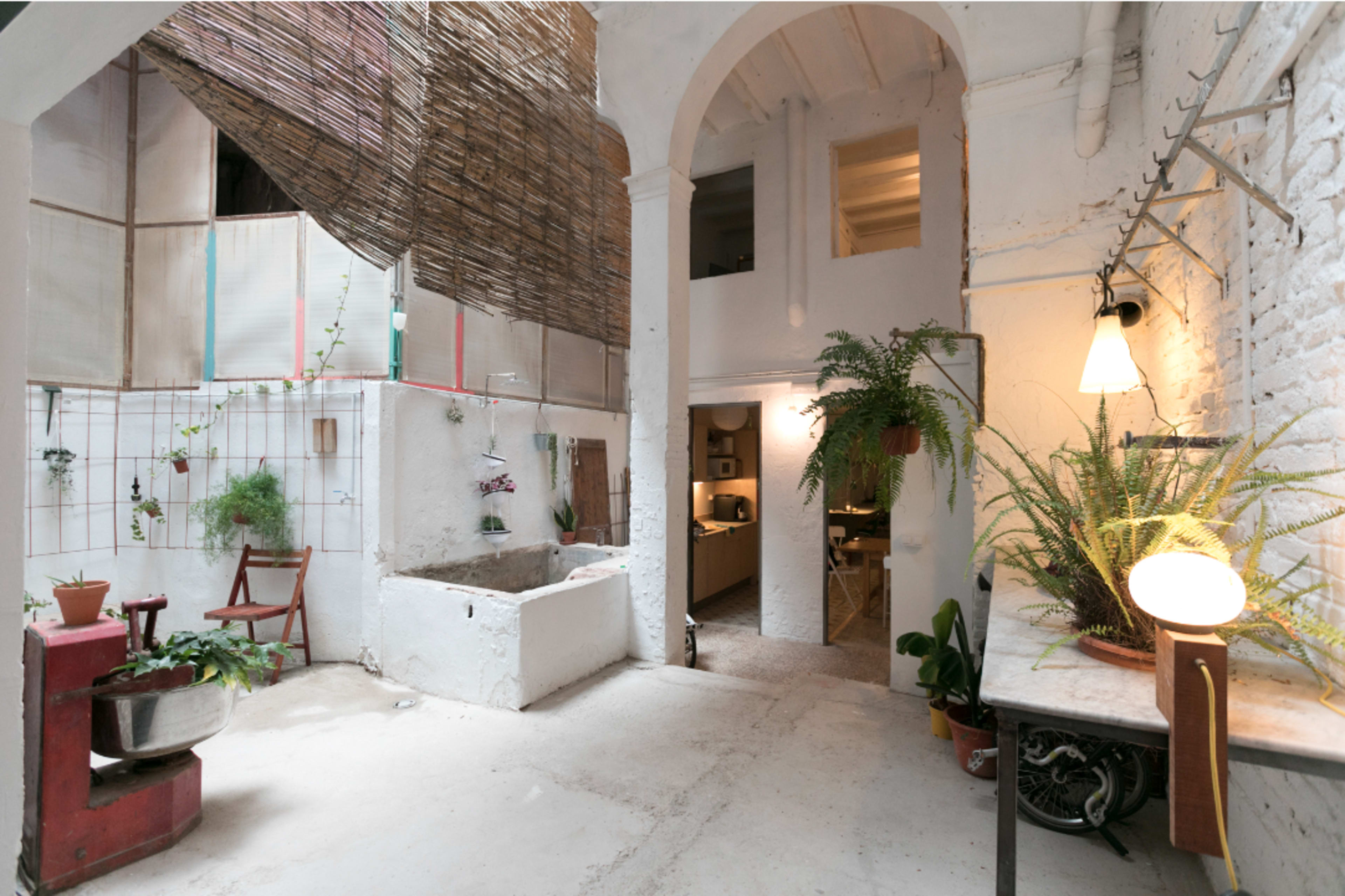 A minimalist indoor space with white walls, a combined kitchen and living area, and several potted plants along with a large window and an overhead bamboo covering.