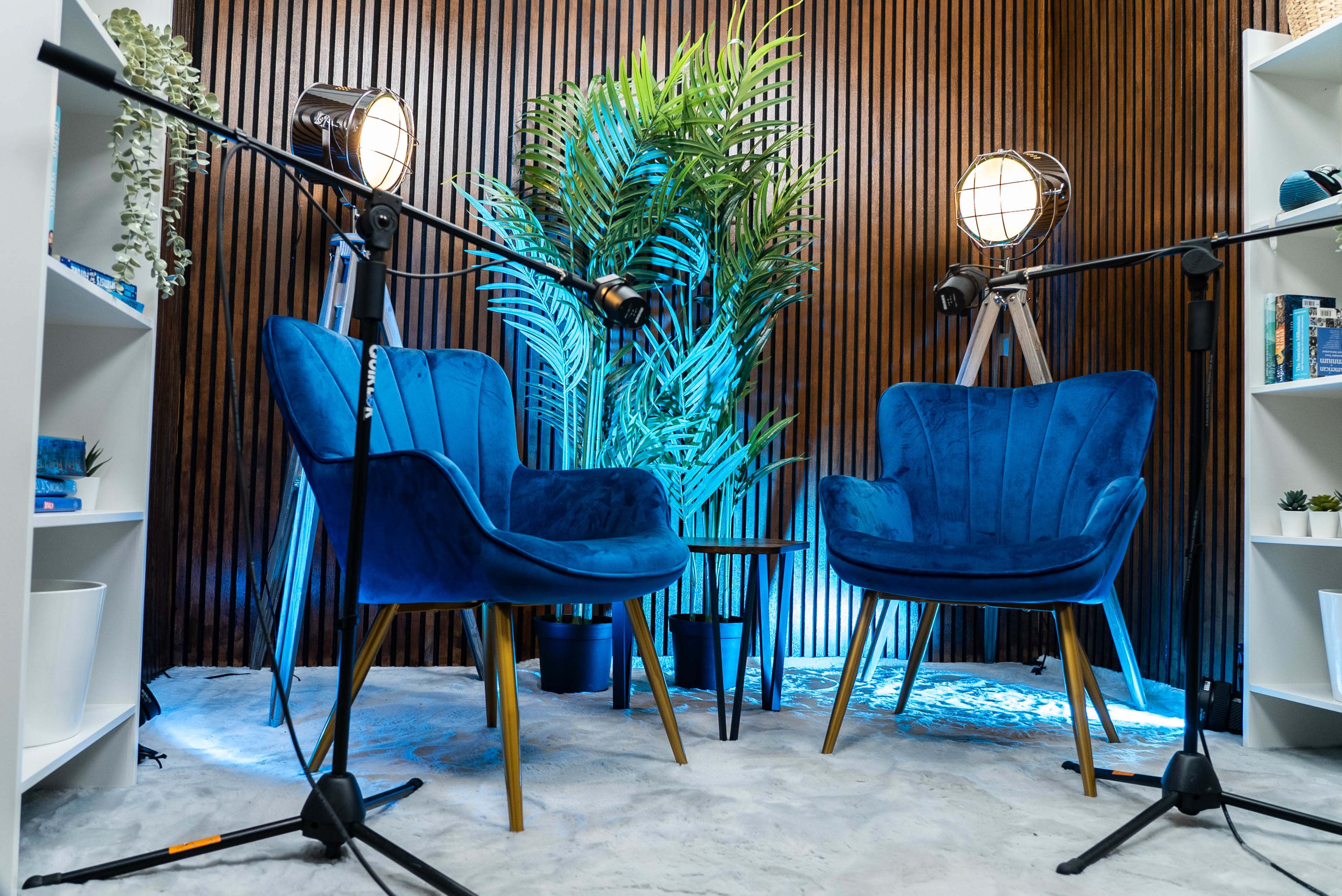 A cozy interview setup featuring two blue velvet chairs, a large potted plant, and two studio lights positioned on either side.
