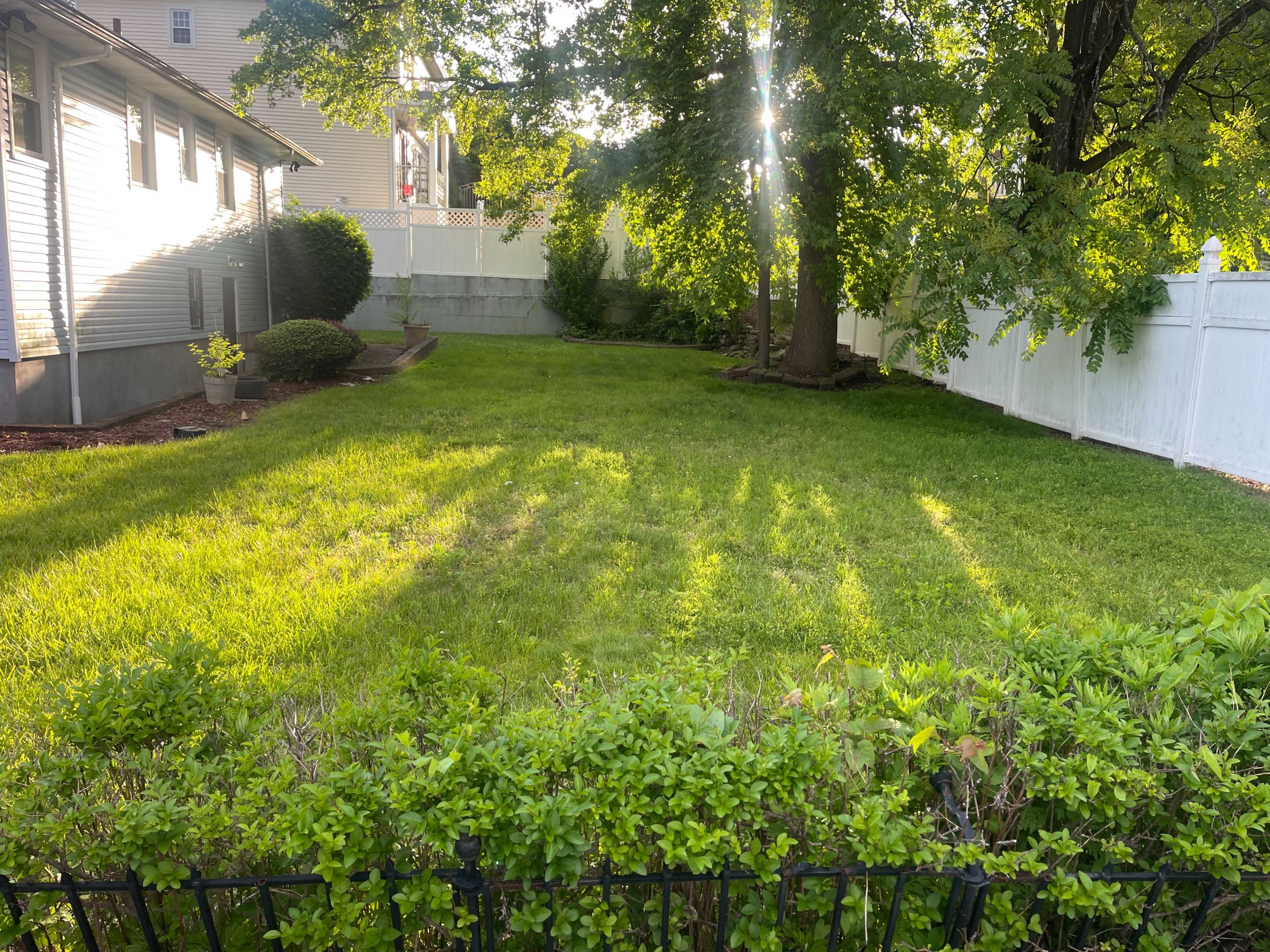 Large Front and Back yard Space Image in Park Hill, Yonkers, NY