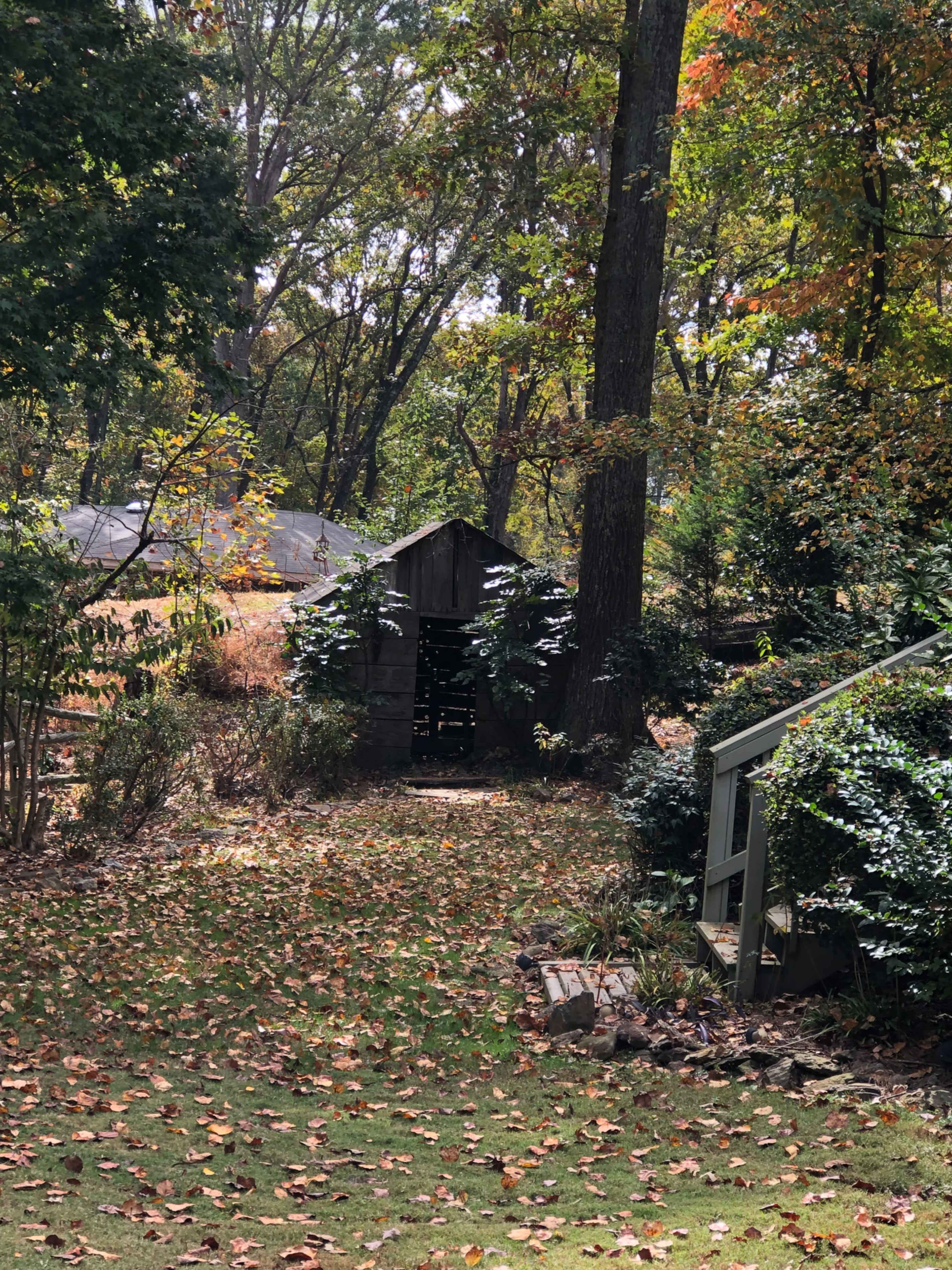 The image shows a rustic wooden shed surrounded by trees and fallen leaves in a wooded area.