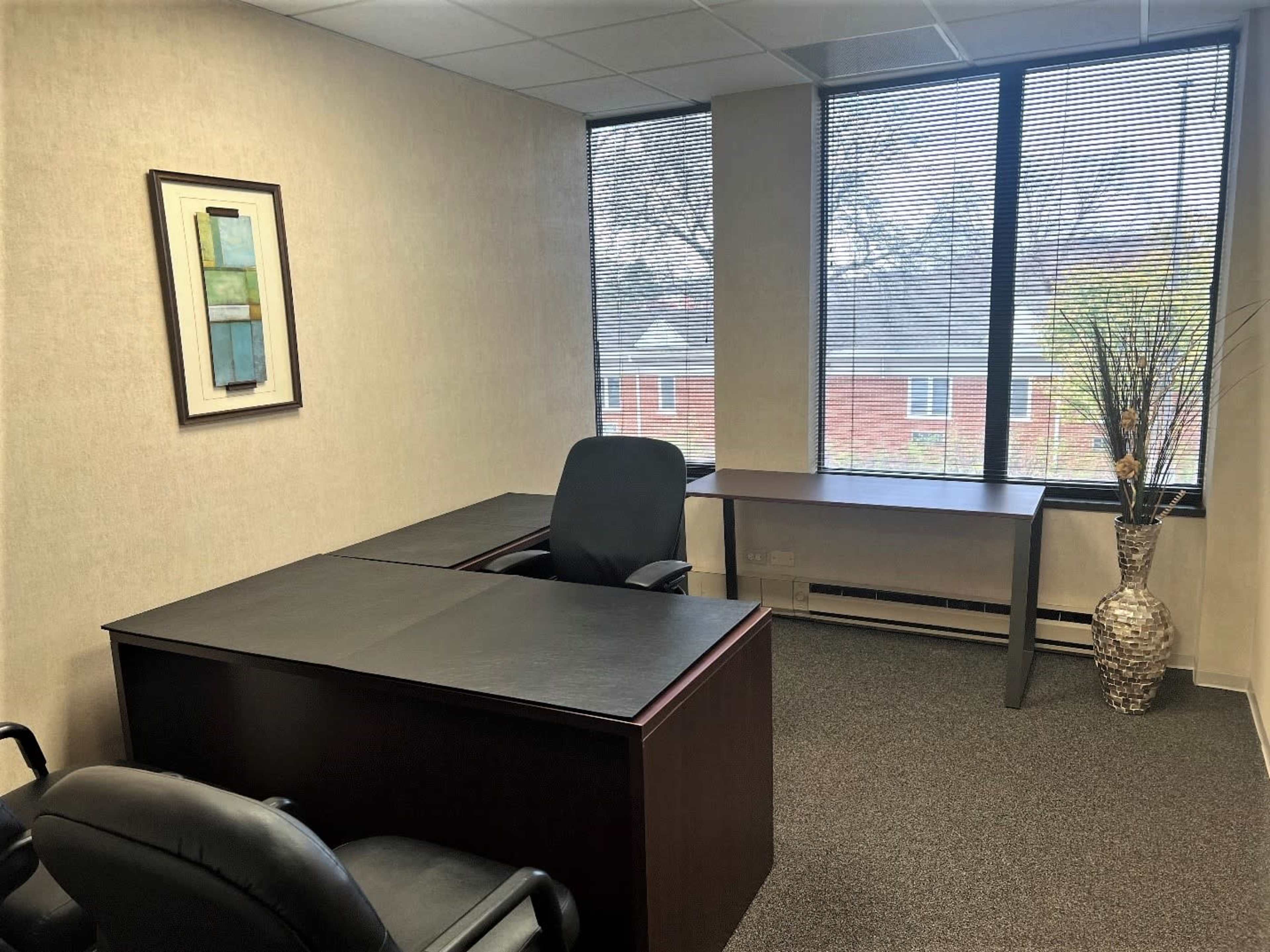 A vacant office space with two desks, black office chairs, and a decorative plant near a window.