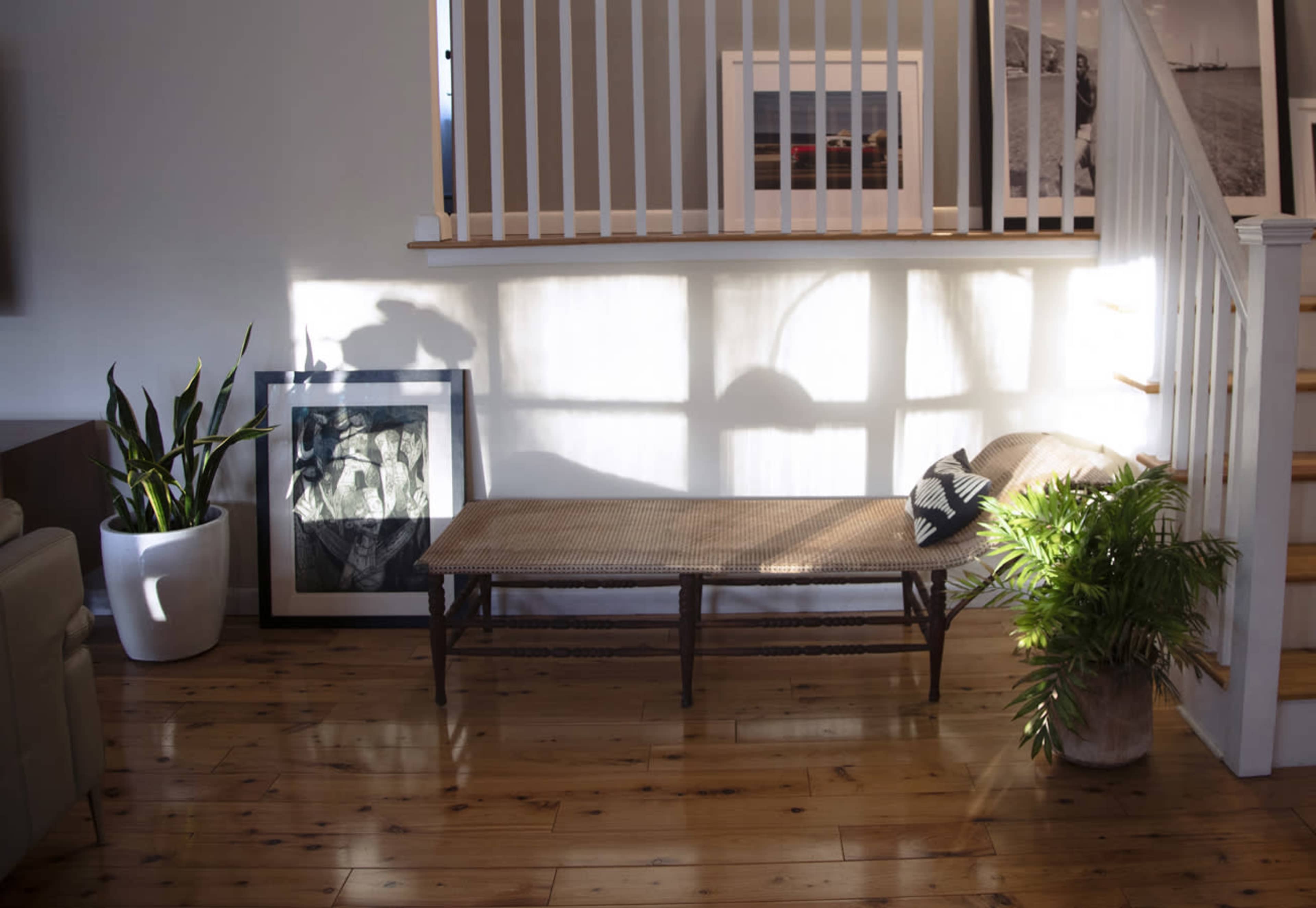 A sunlight-filled room features a bench against a wall, potted plants, and framed artwork.
