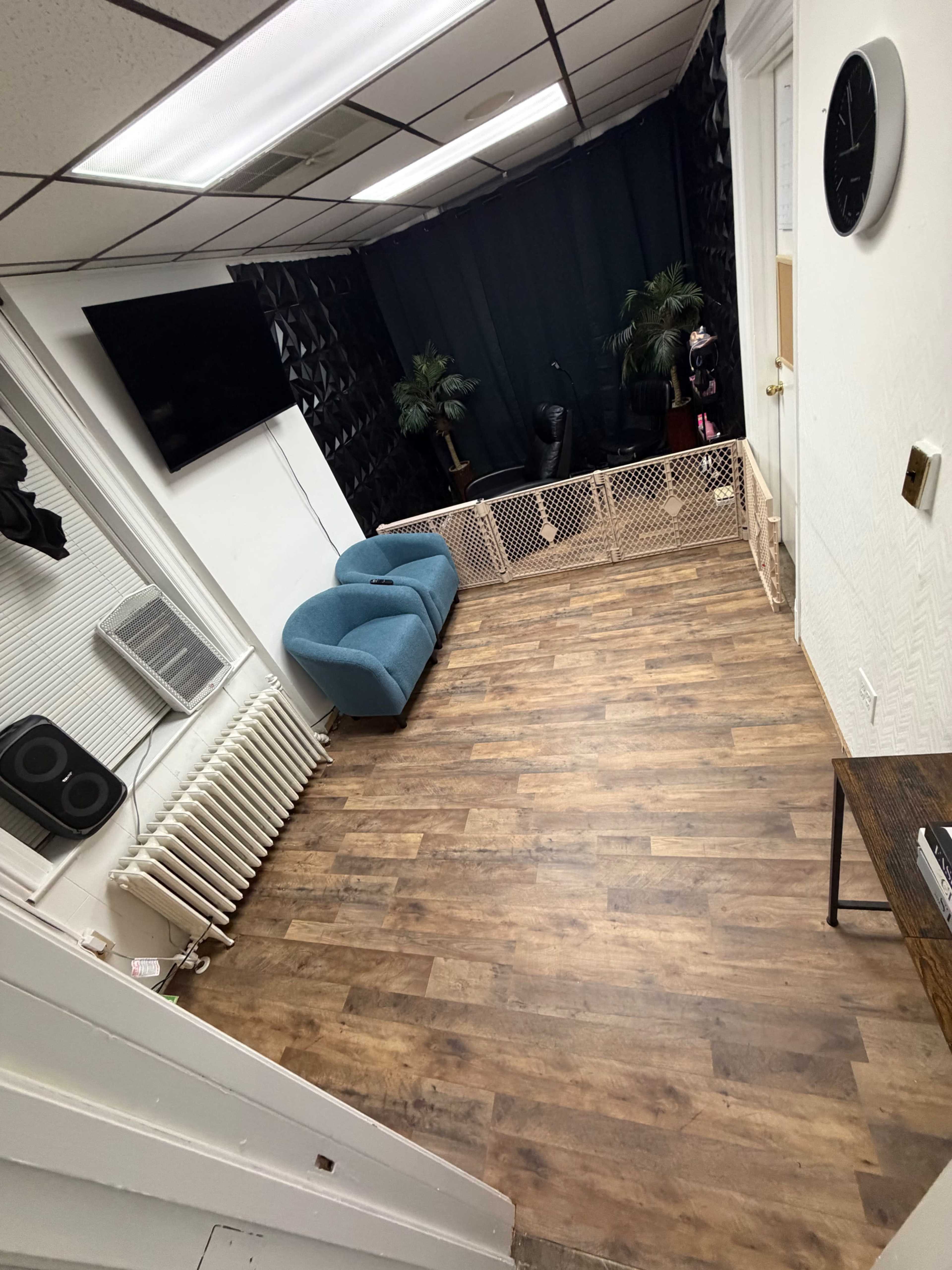 The image shows a small, sparsely furnished room with a blue couch, a black backdrop, and a wooden floor, partitioned by a pet gate.