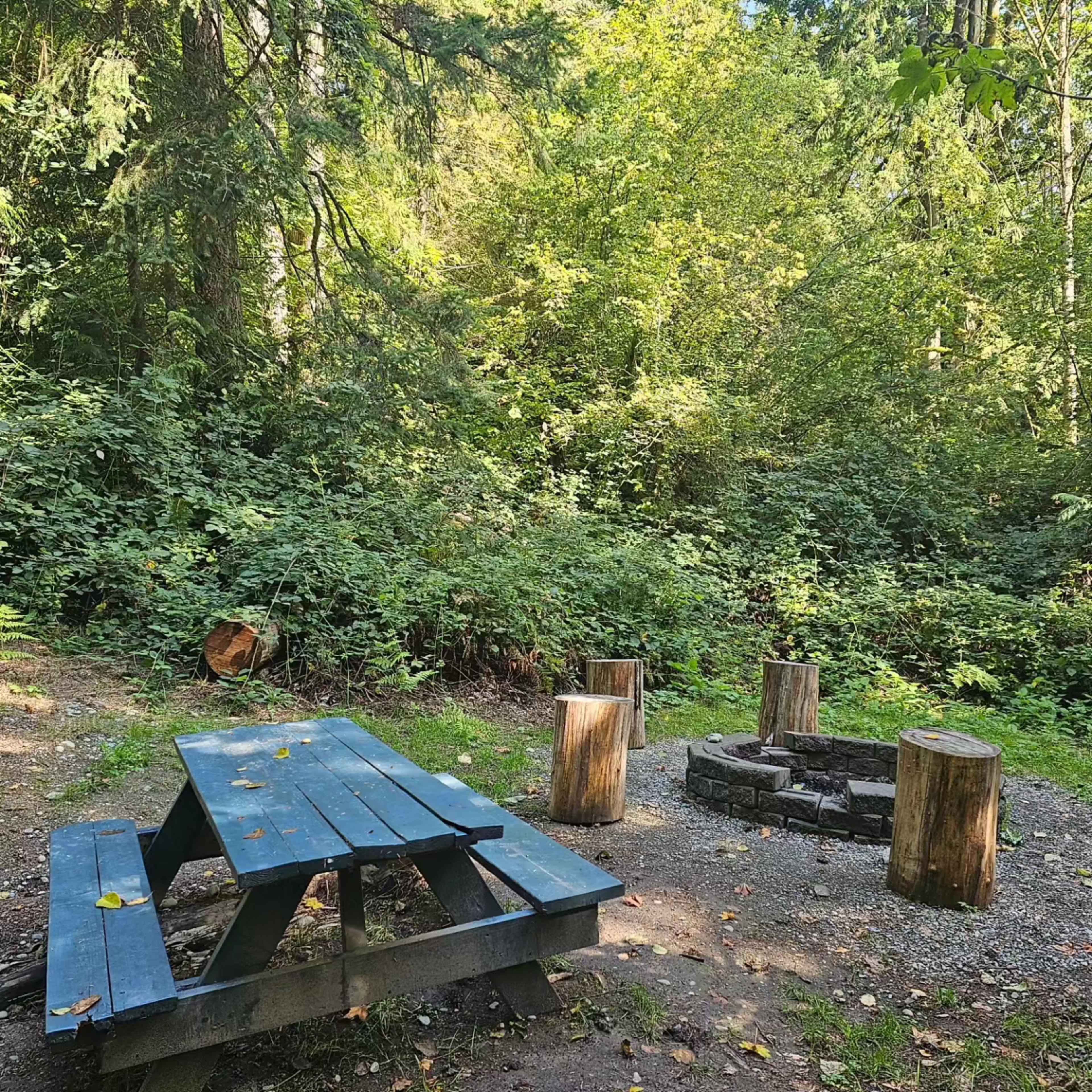 Cedar River Glamping and Camping Image in Hobart, Maple Valley, WA