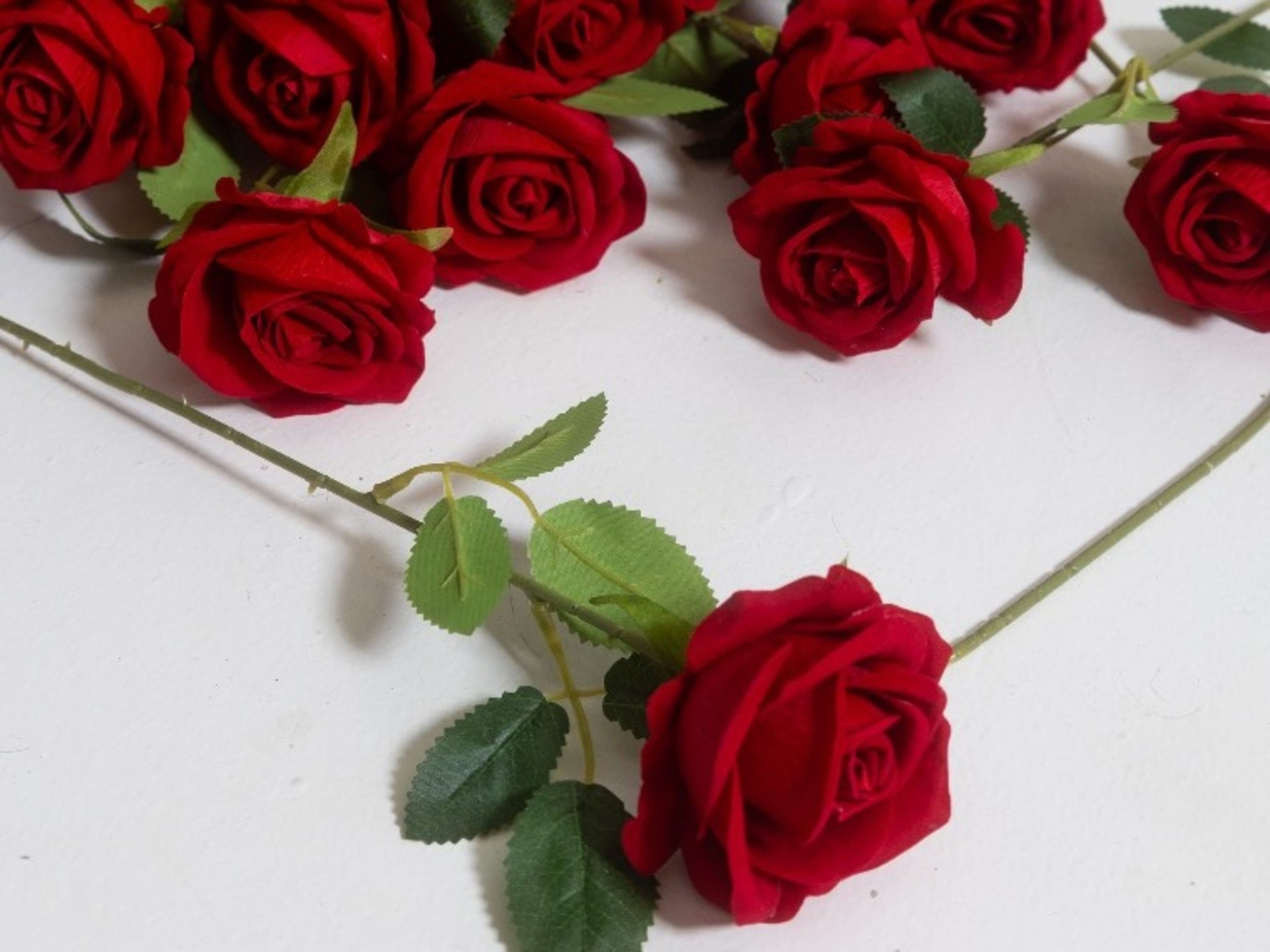 Roses (Artificial) 