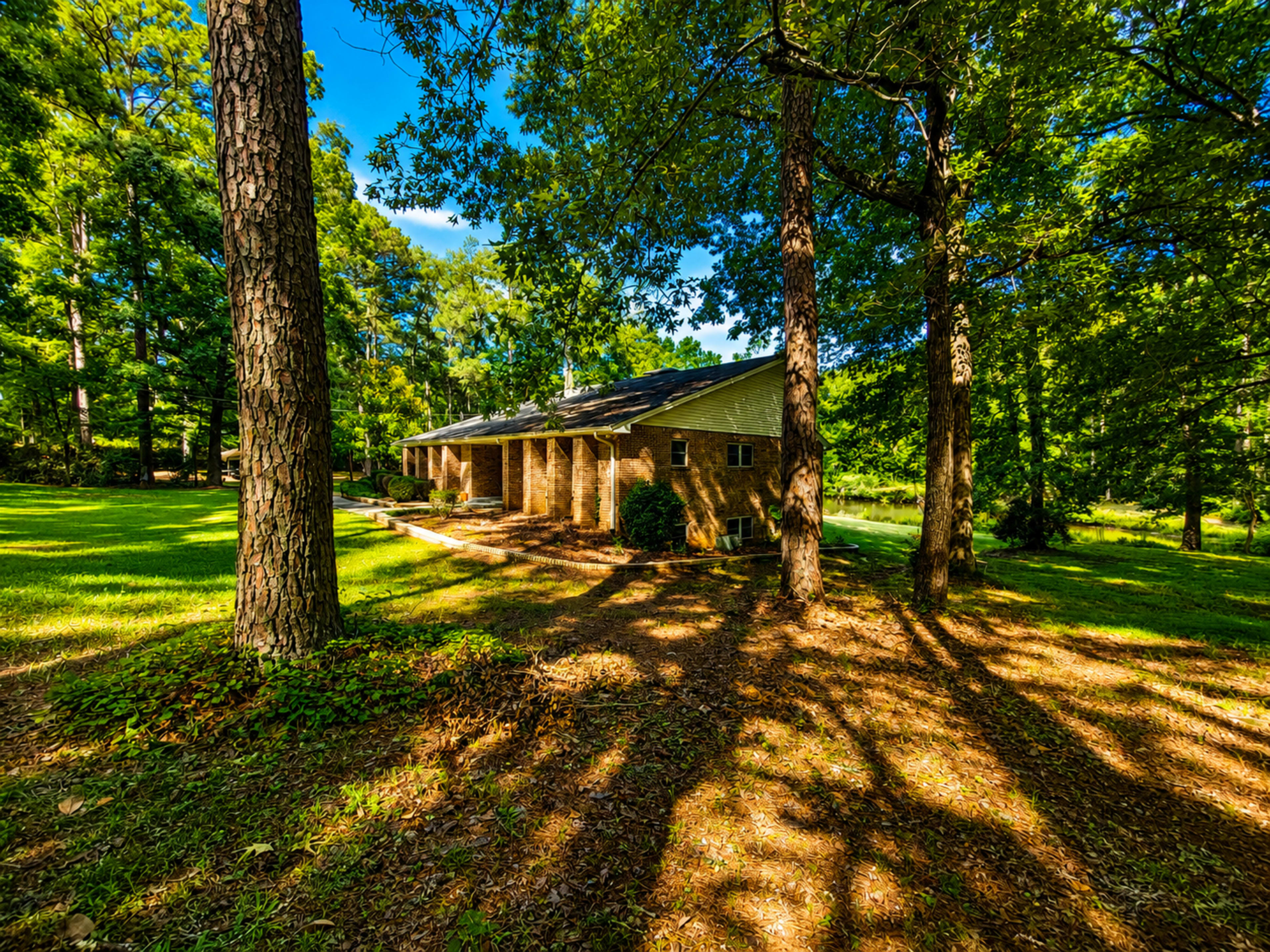 A stone house is partially obscured by tall trees in a sunlit forest setting with scattered shadows on the ground.