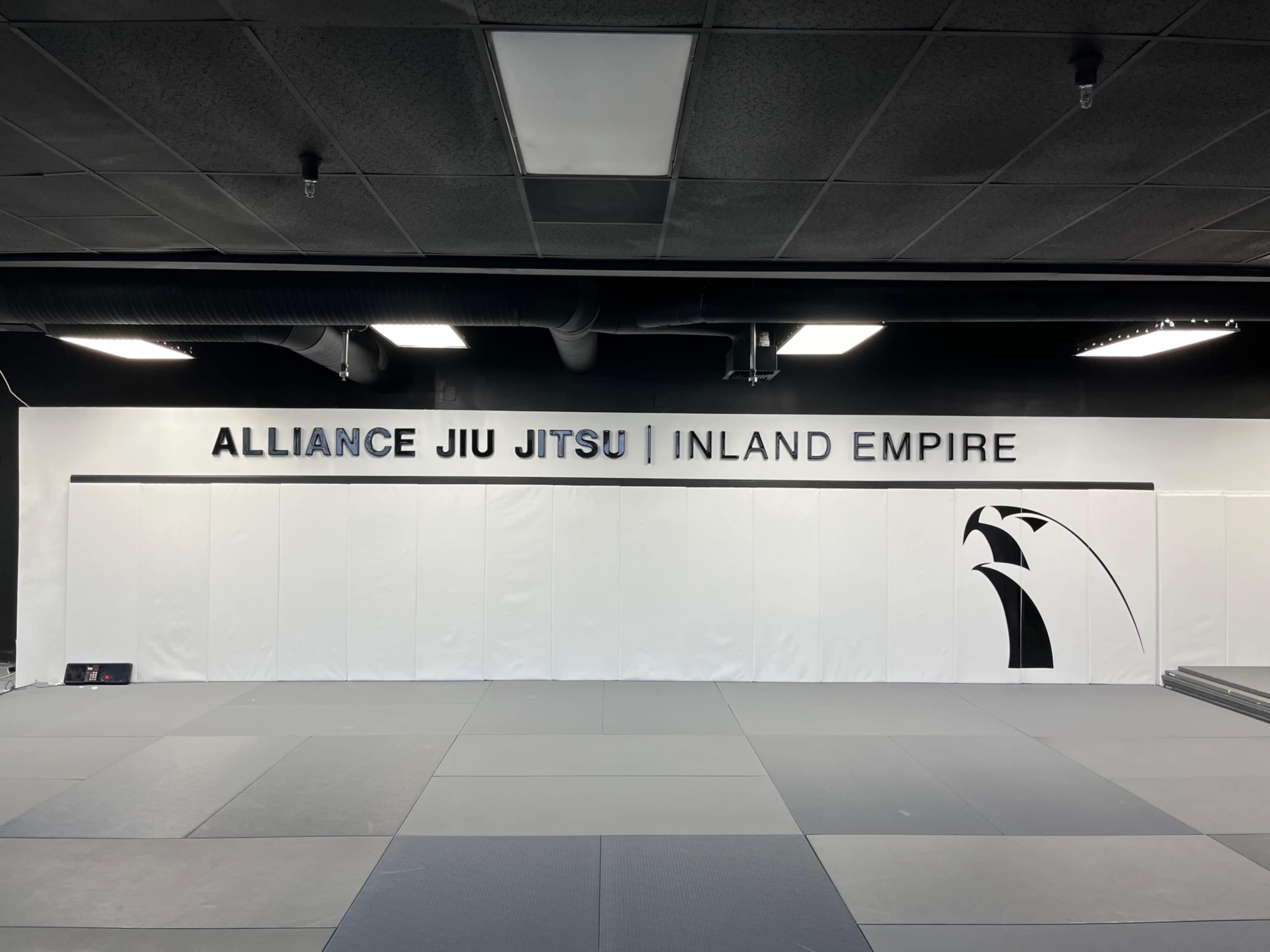 Private Studio with open mat space and personal training equipment Image in Northwest Redlands, Redlands, CA