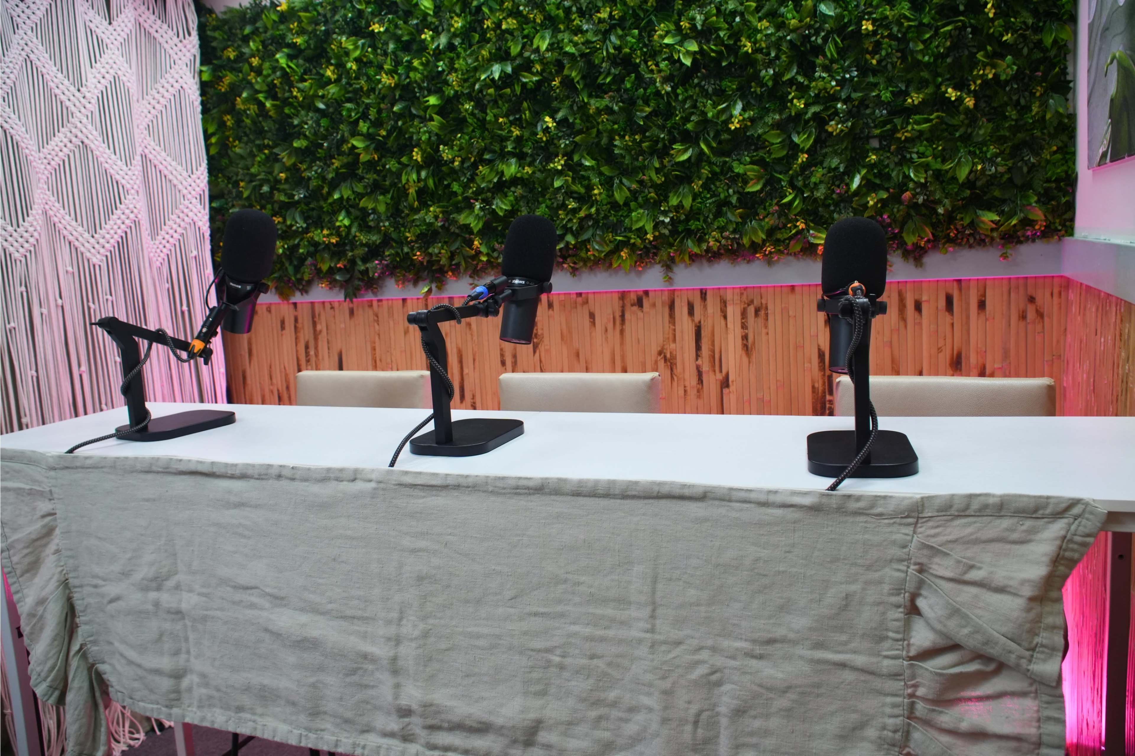 Zen-Inspired Podcast Studio with Customizable Lighting Image in Costa Mesa, Costa Mesa, CA