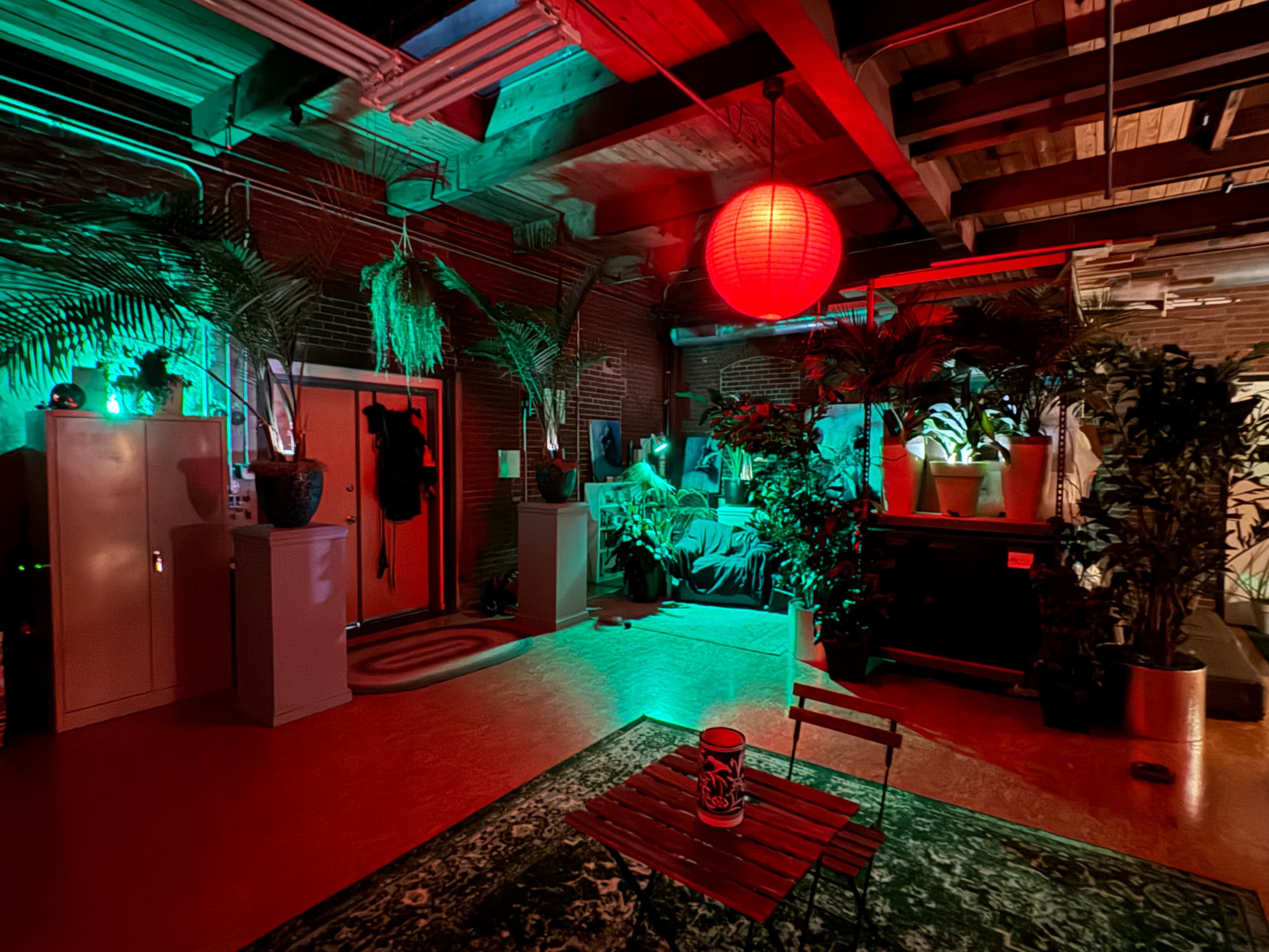 The scene depicts a dimly lit room filled with various plants, a red paper lantern, and a small table in a modern industrial setting.