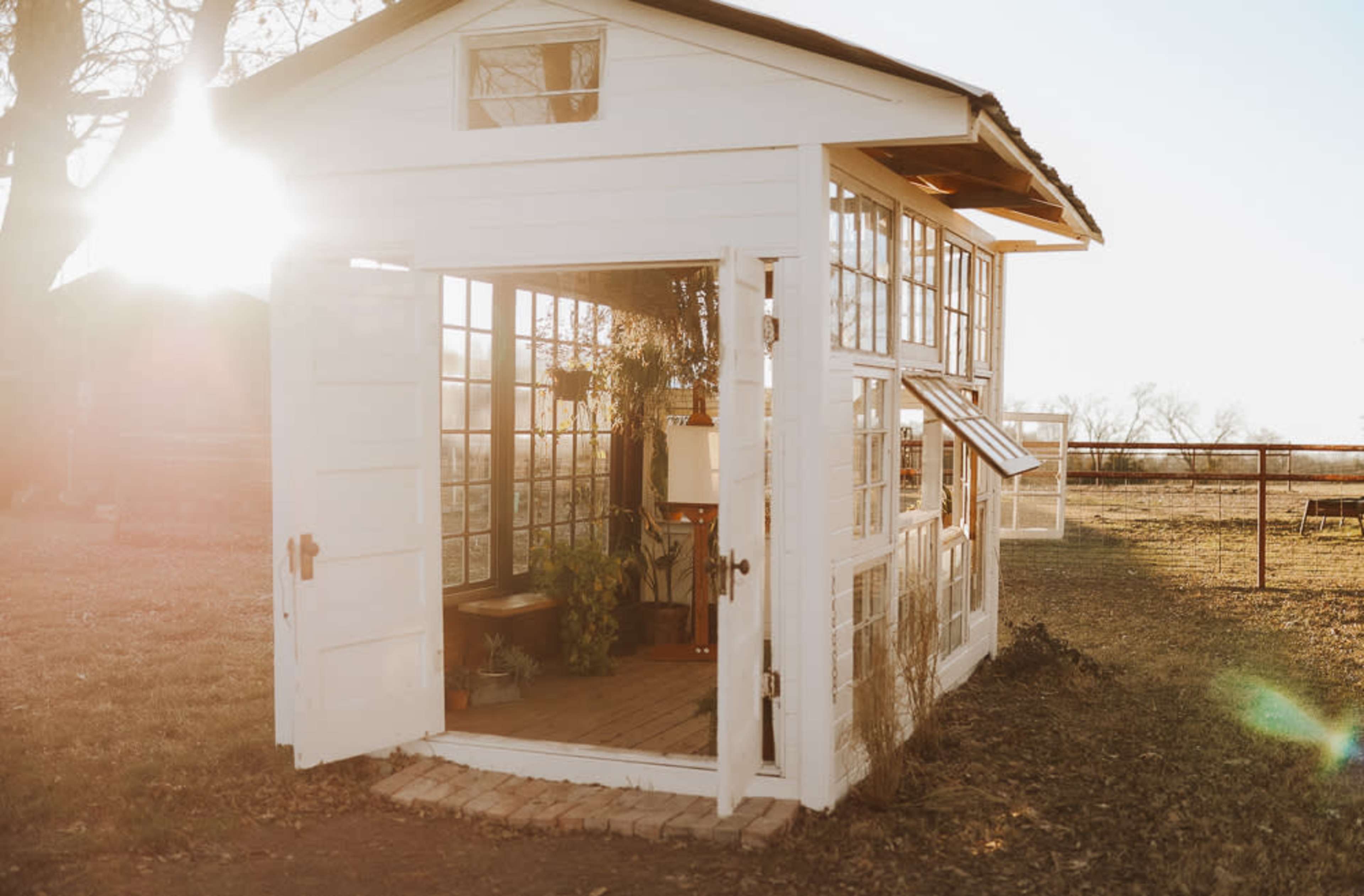 A white shed with large windows stands open in a grassy area, revealing a cozy interior filled with plants and furniture.