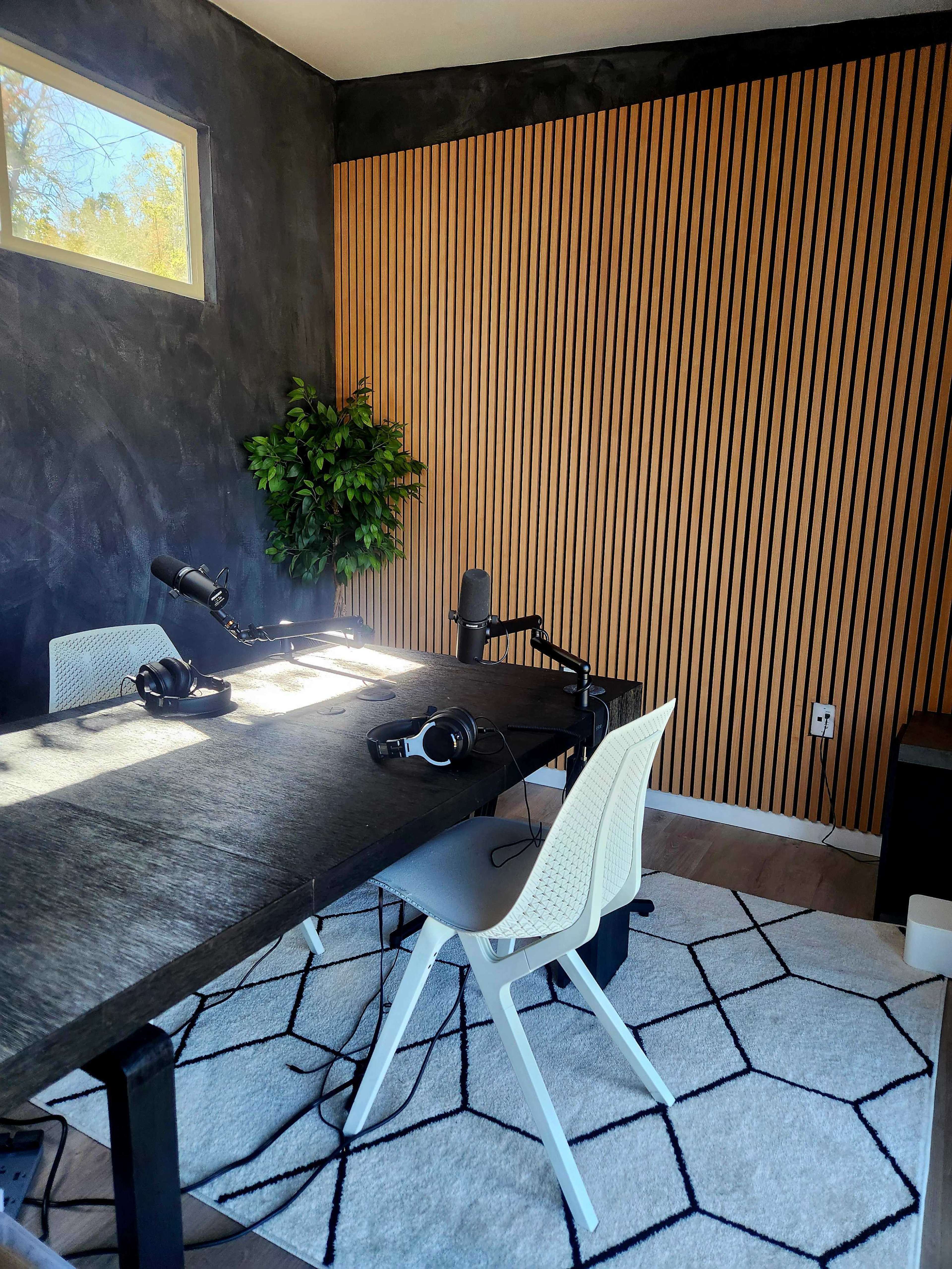 The image shows a modern recording studio with a wooden table, two chairs, microphones, and a patterned rug against a wall of vertical wooden slats and a large window.
