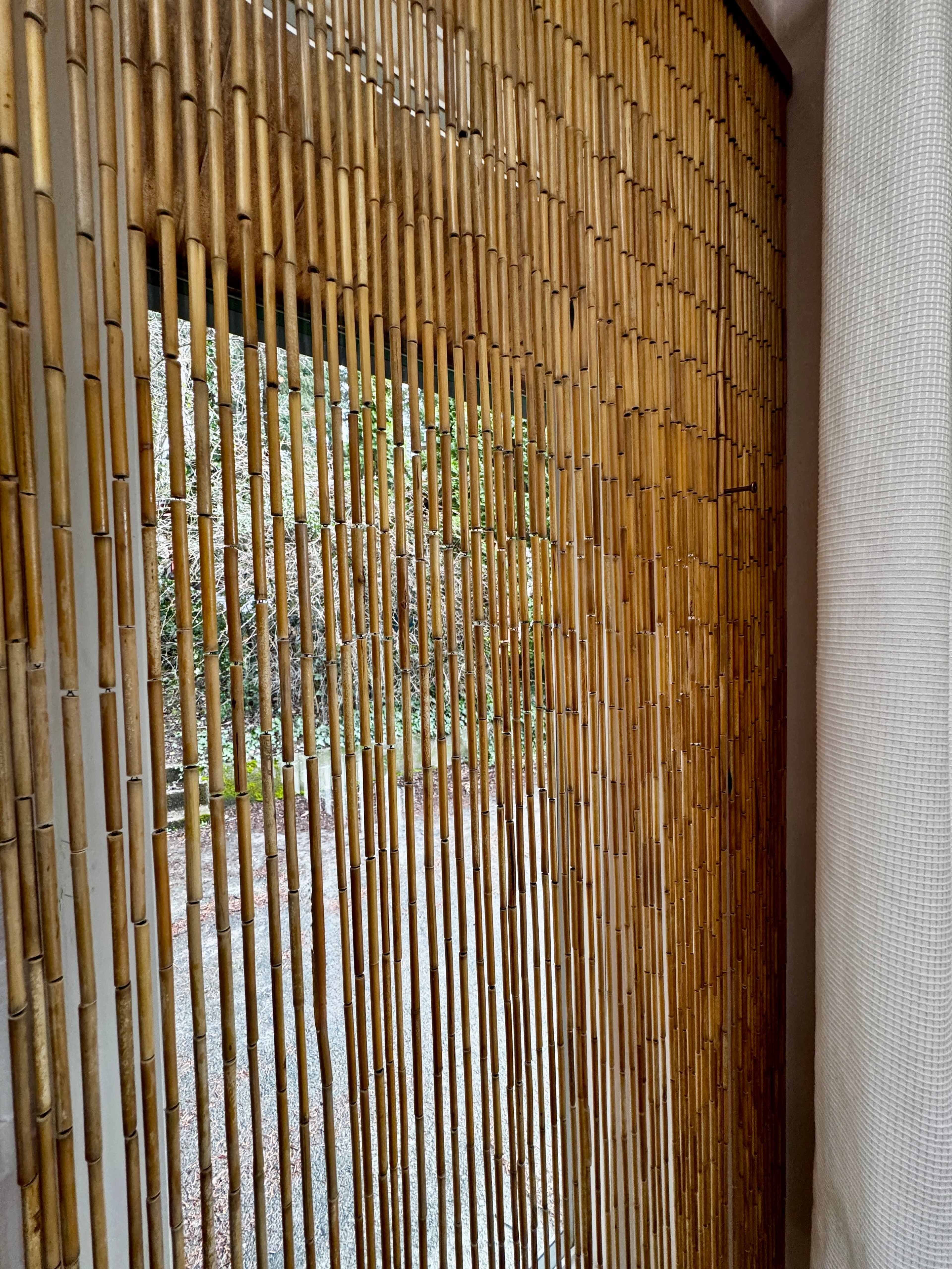 Skylit House in the Trees / Private Backyard Image in Lynnwood, Lynnwood, WA