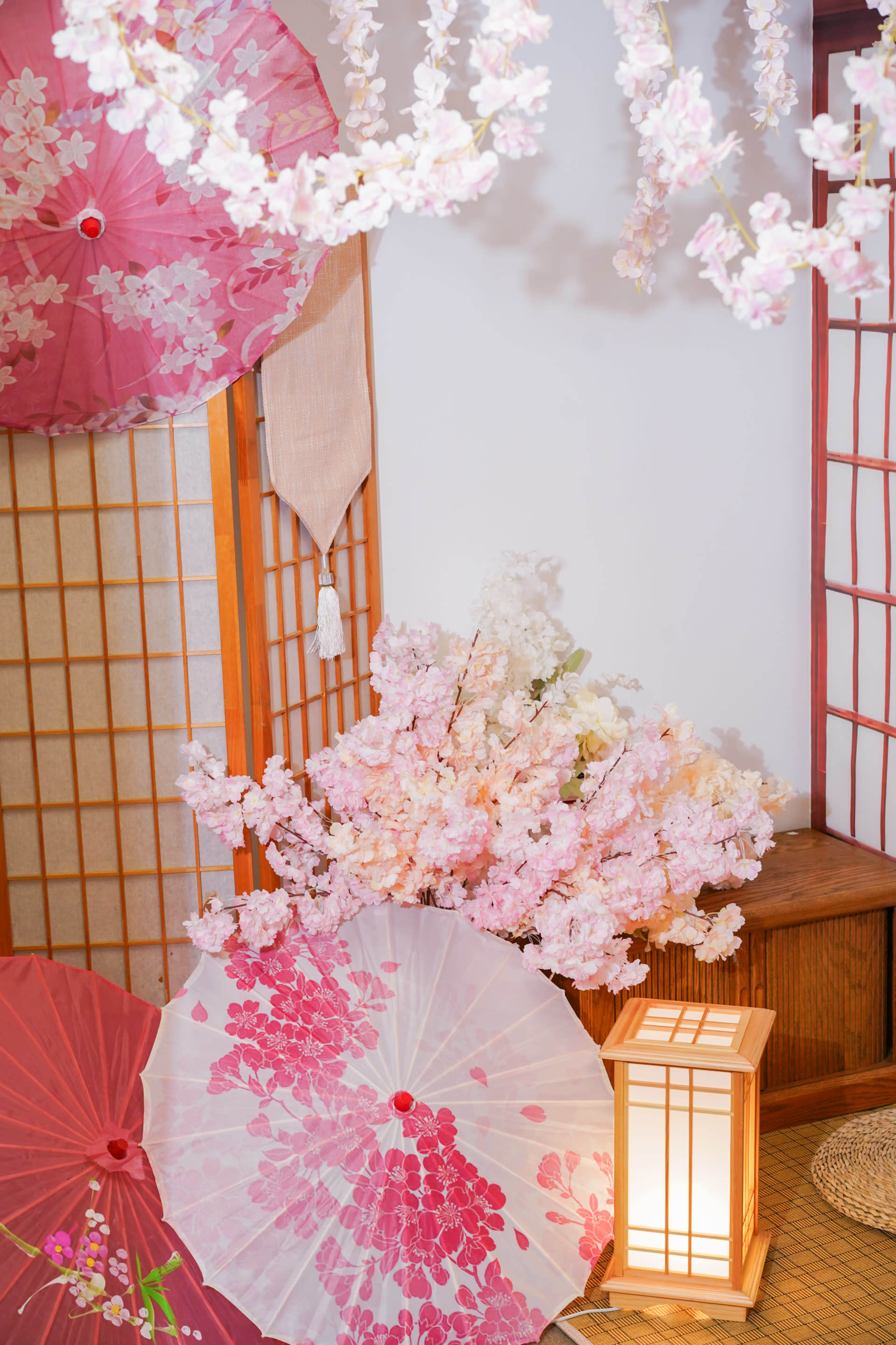 Dreamy Multi-Set Studio for Content Creation in Fremont Image in Baylands, fremont, CA