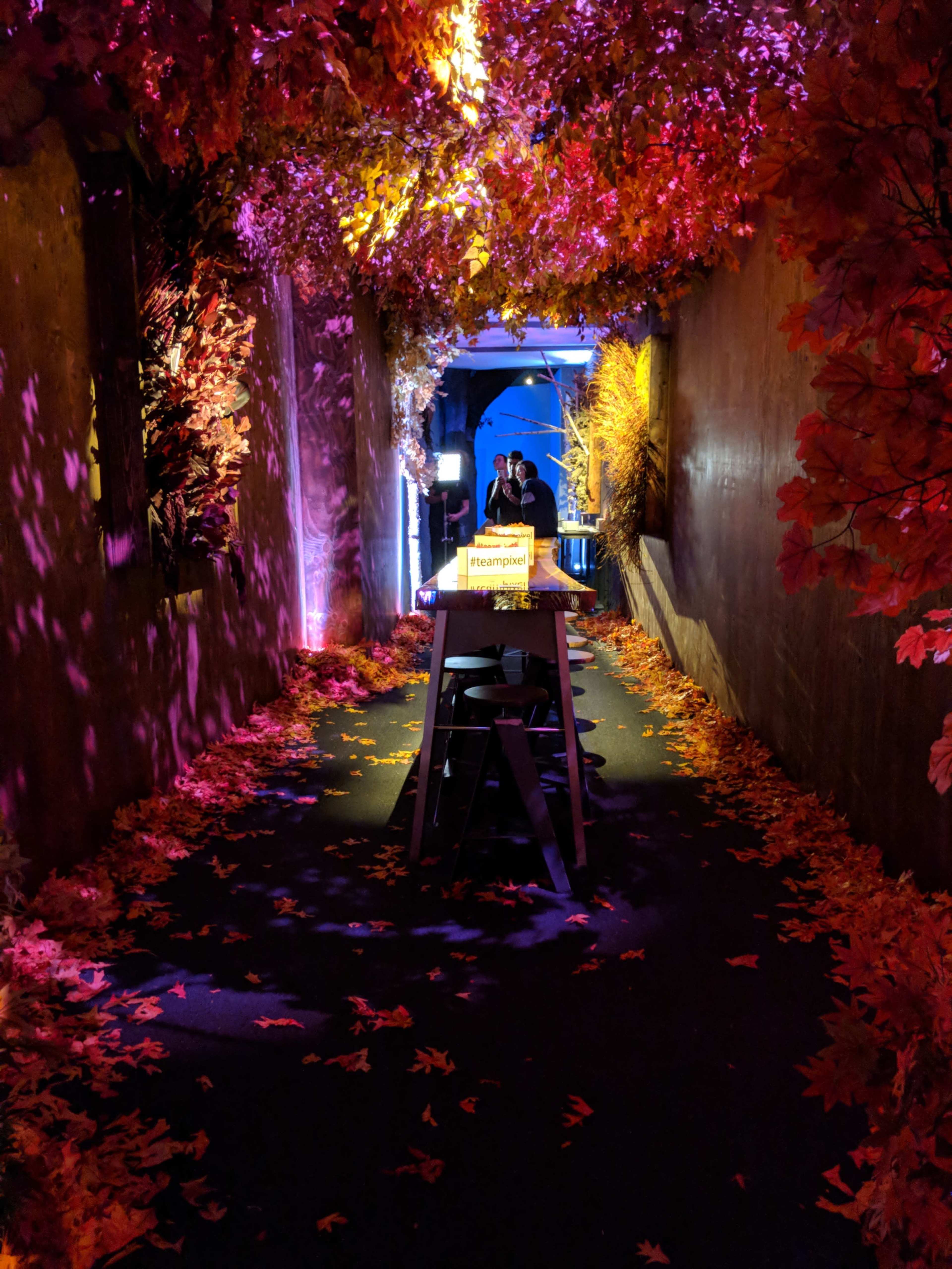 A pathway lined with colorful autumn leaves leads to a brightly lit area at the end, surrounded by vibrant foliage and soft lighting.