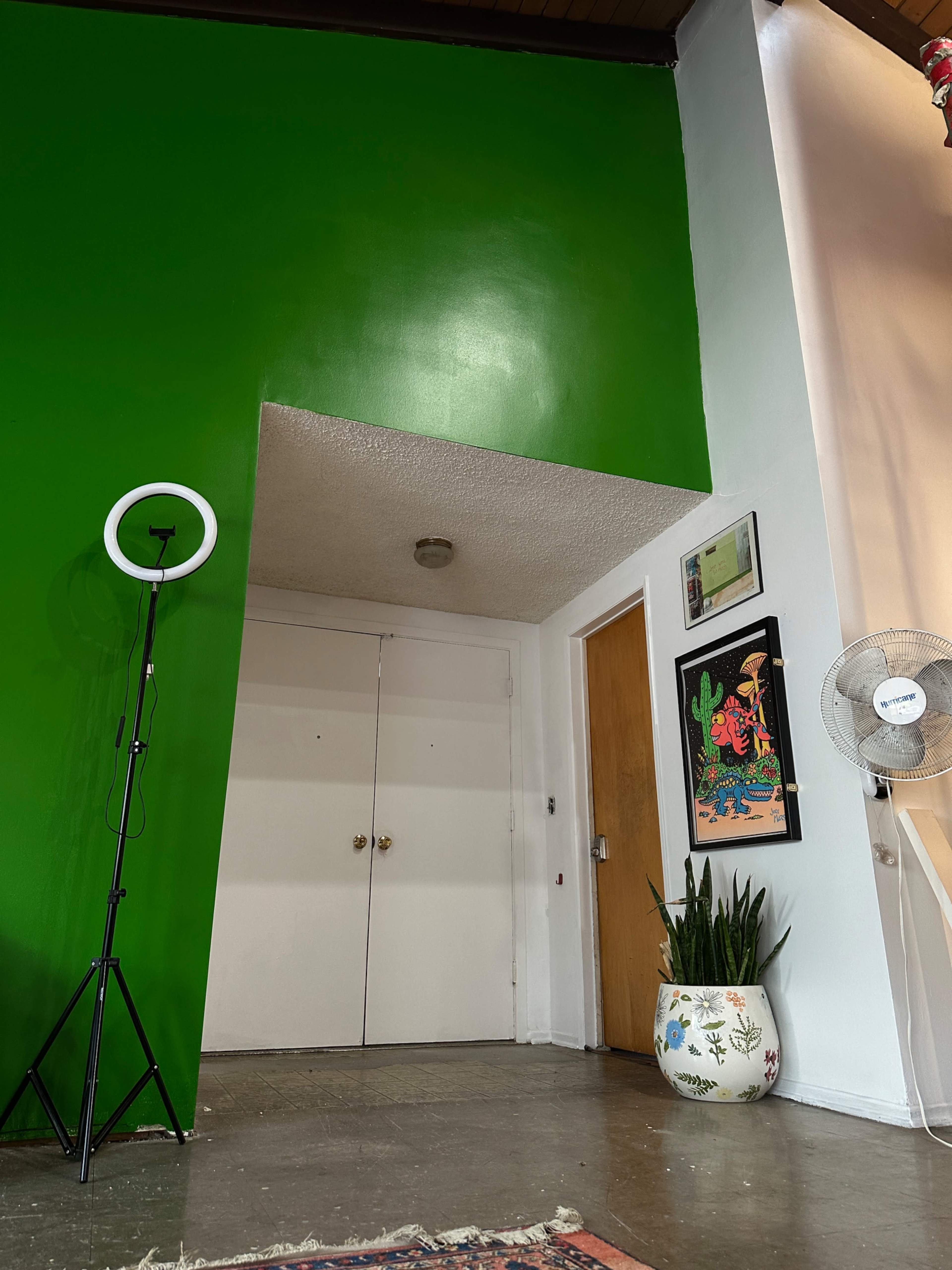 The image shows a room with a vibrant green wall, a standing ring light, a potted plant, and a closed white door leading to another space.