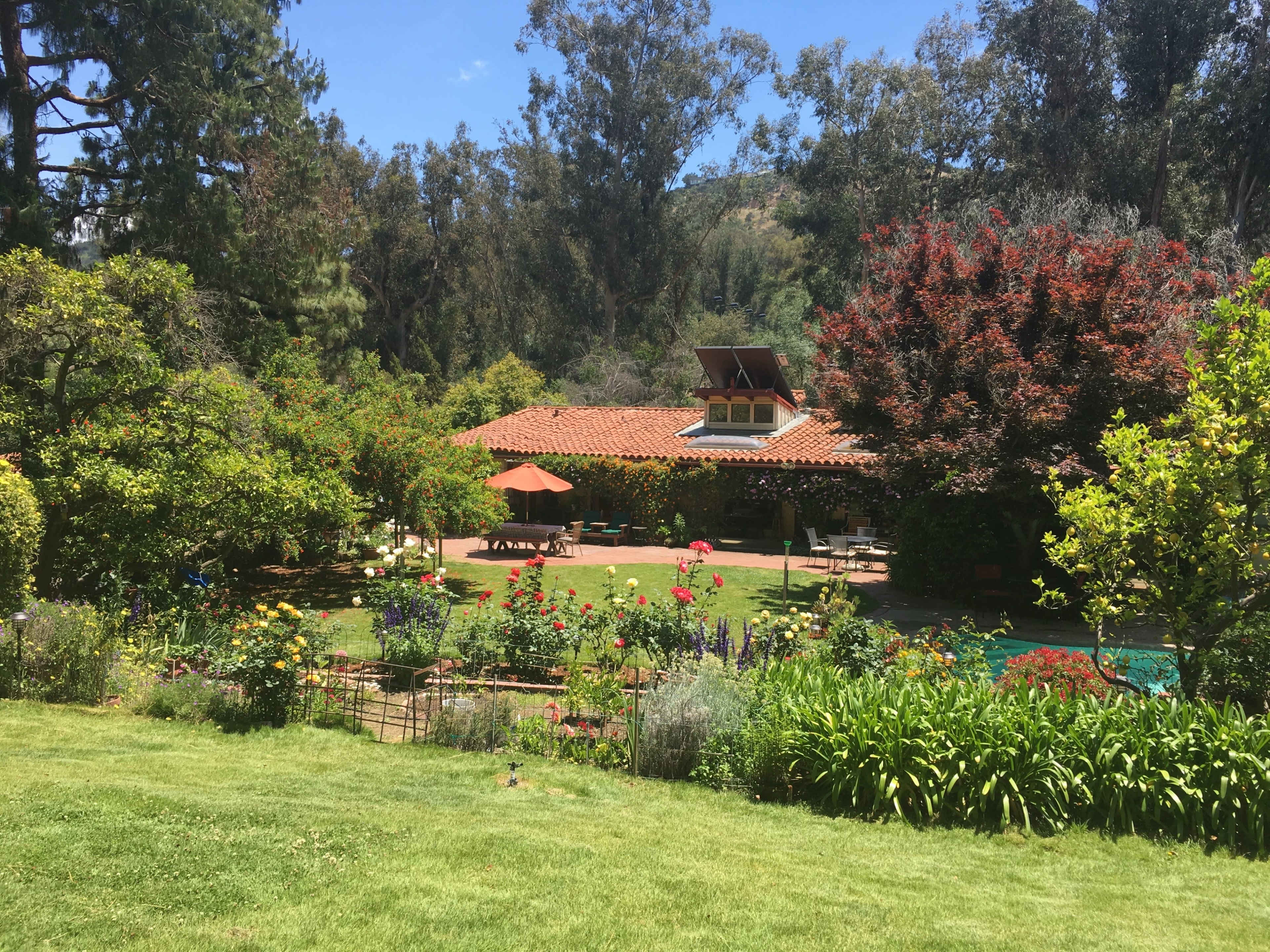 A house with a tiled roof is surrounded by a vibrant garden featuring various flowers, trees, and a swimming pool.