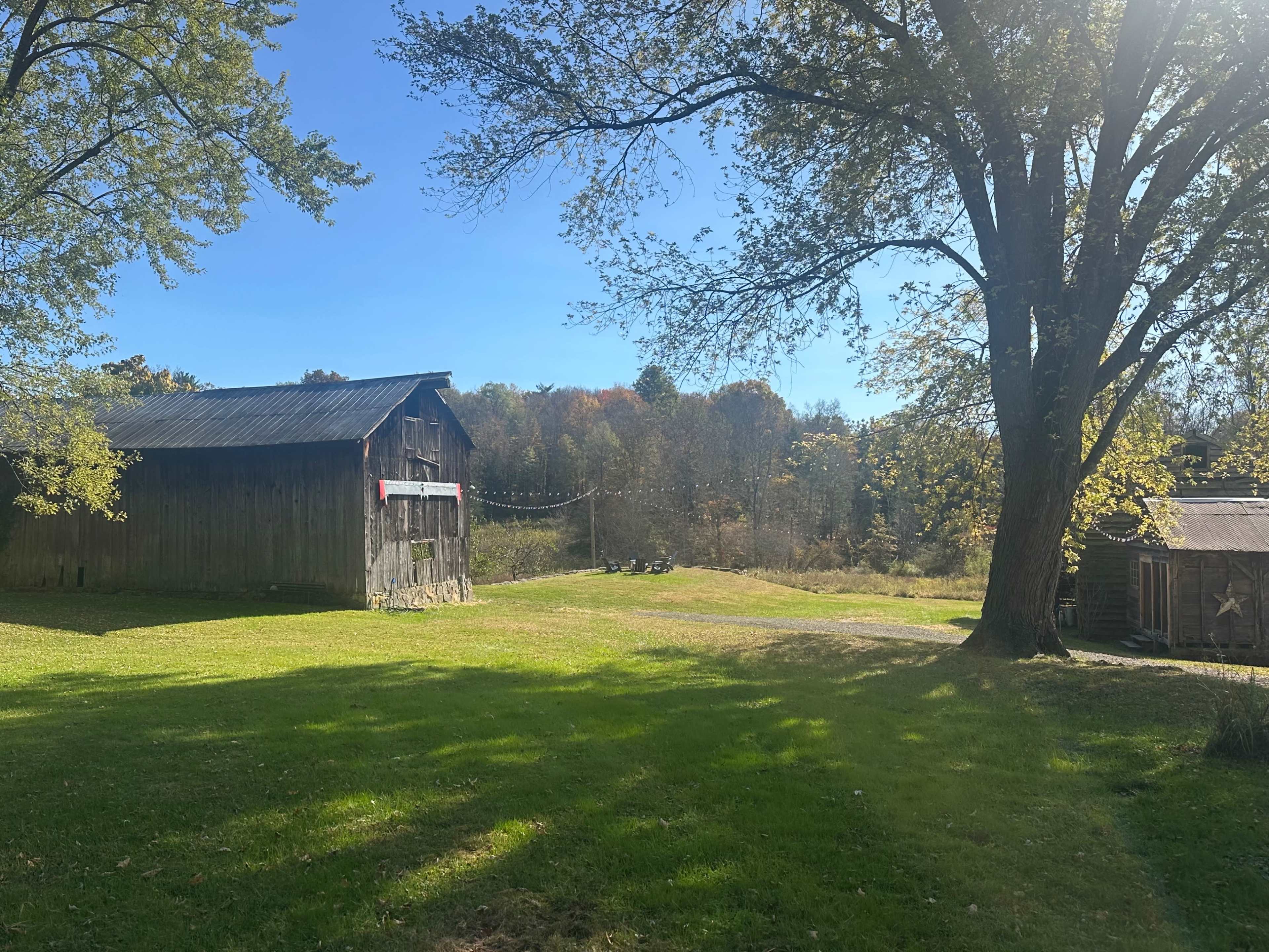 A wooden barn stands to the left, with trees and a clear blue sky in the background, while a grassy area leads to another structure on the right.